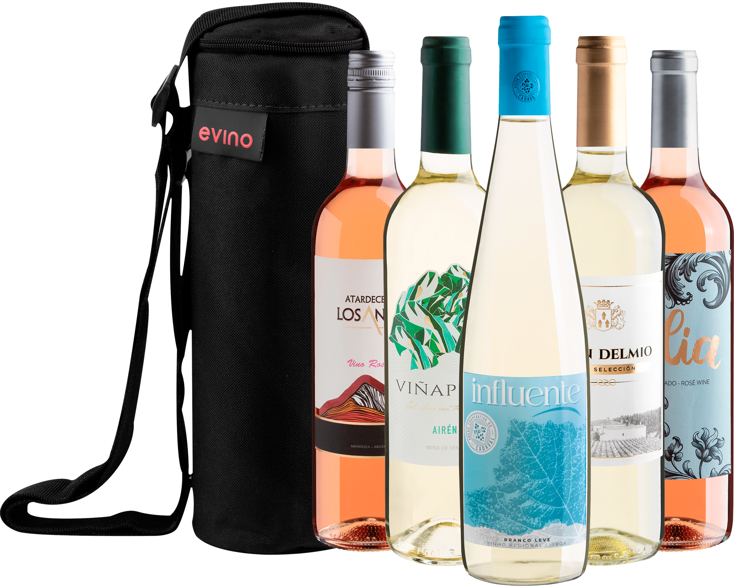 Kit 5 Vinhos Refrescantes + Bolsa Exclusiva