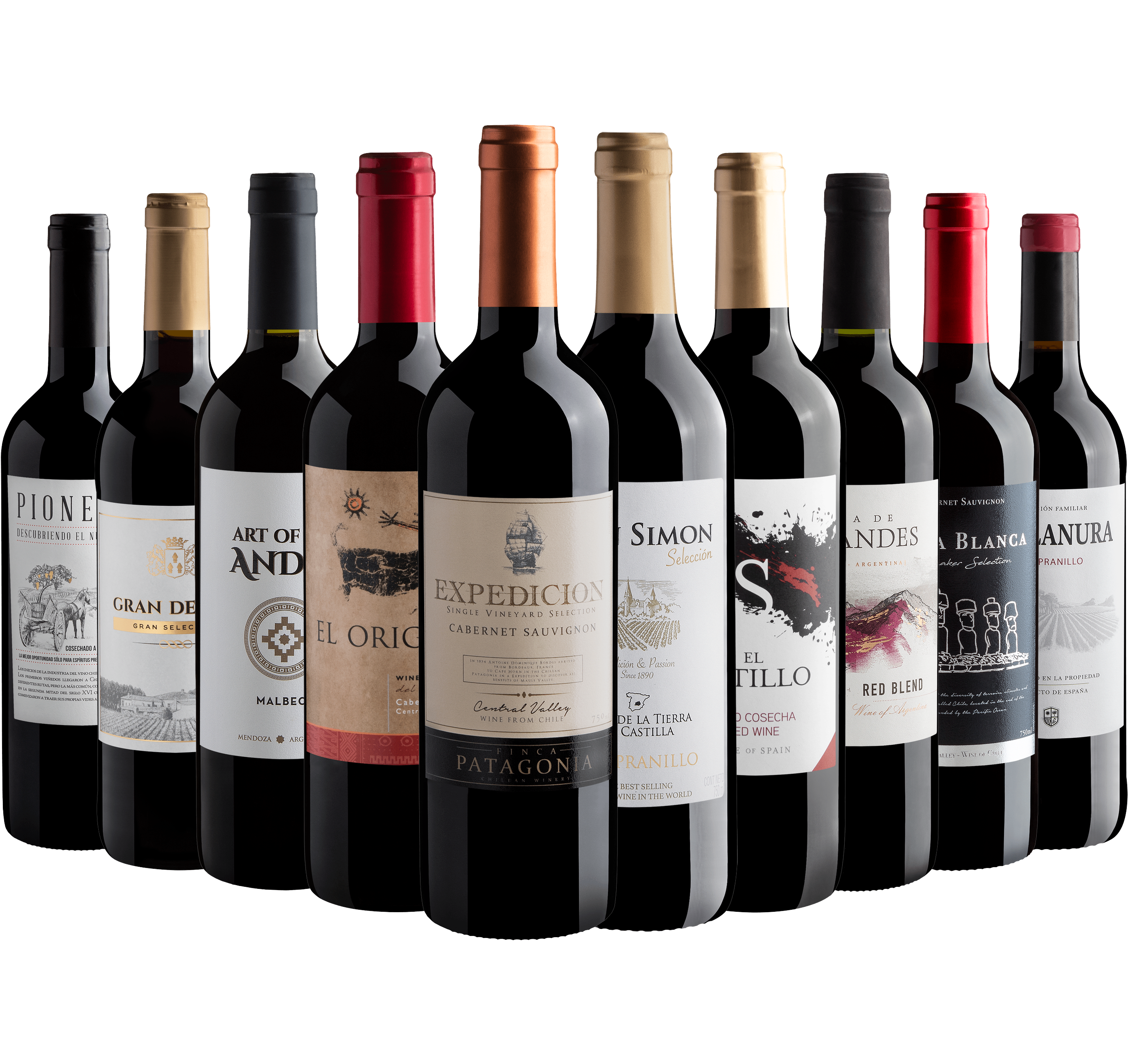 Kit 10 Vinhos Tintos