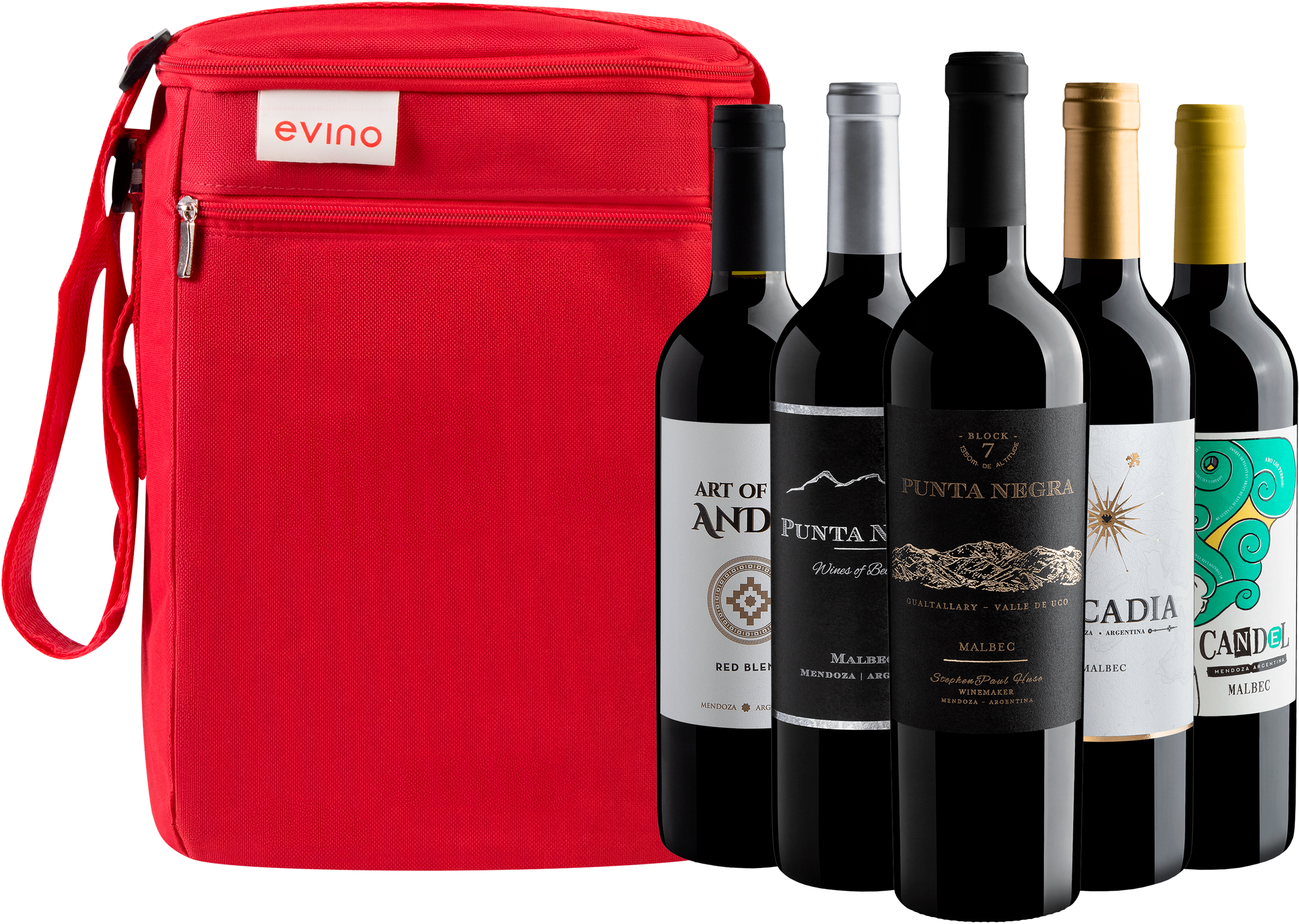 Kit 5 Tintos Argentinos + Bolsa Exclusiva