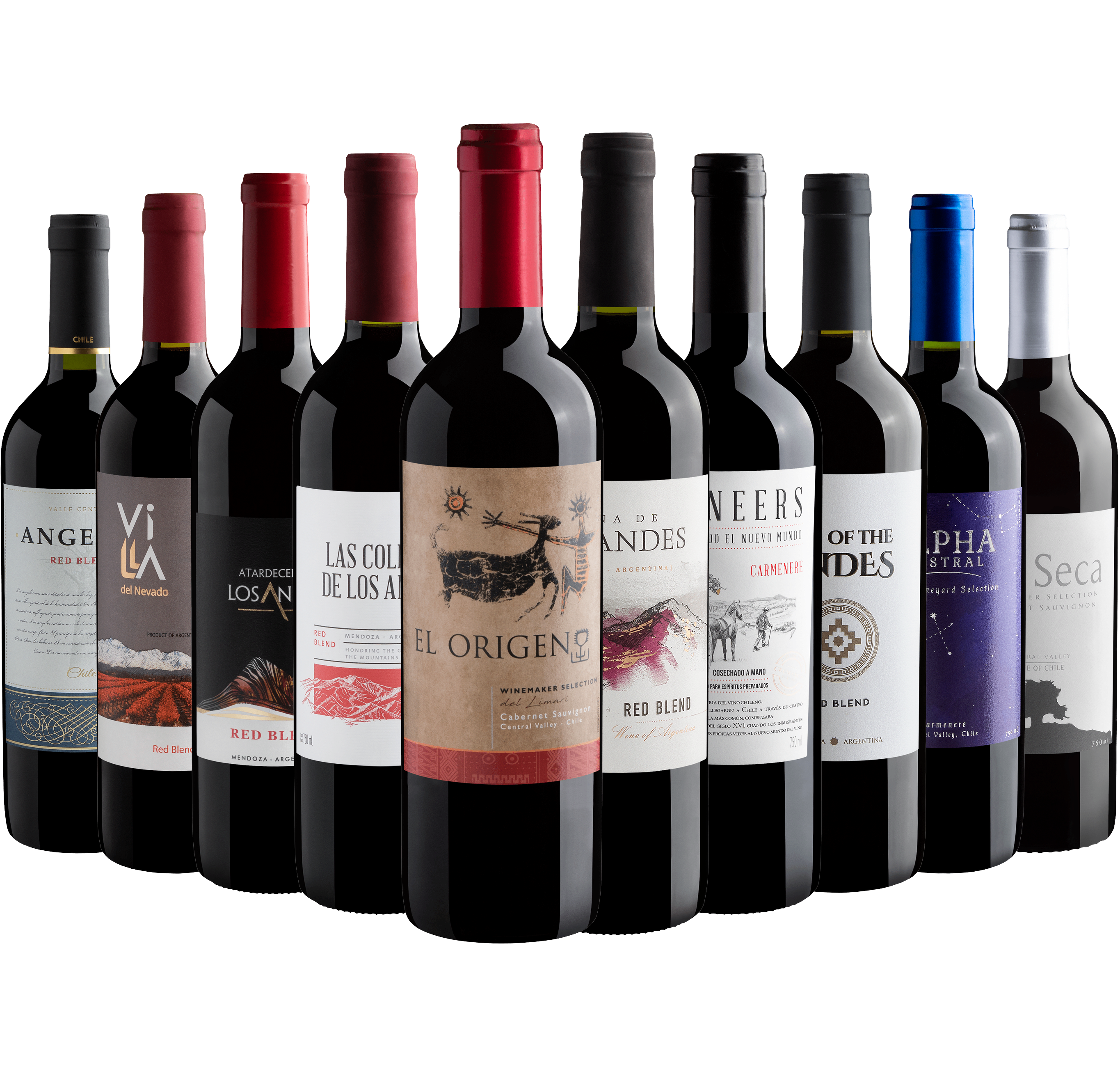 Kit 10 Vinhos do Novo Mundo*