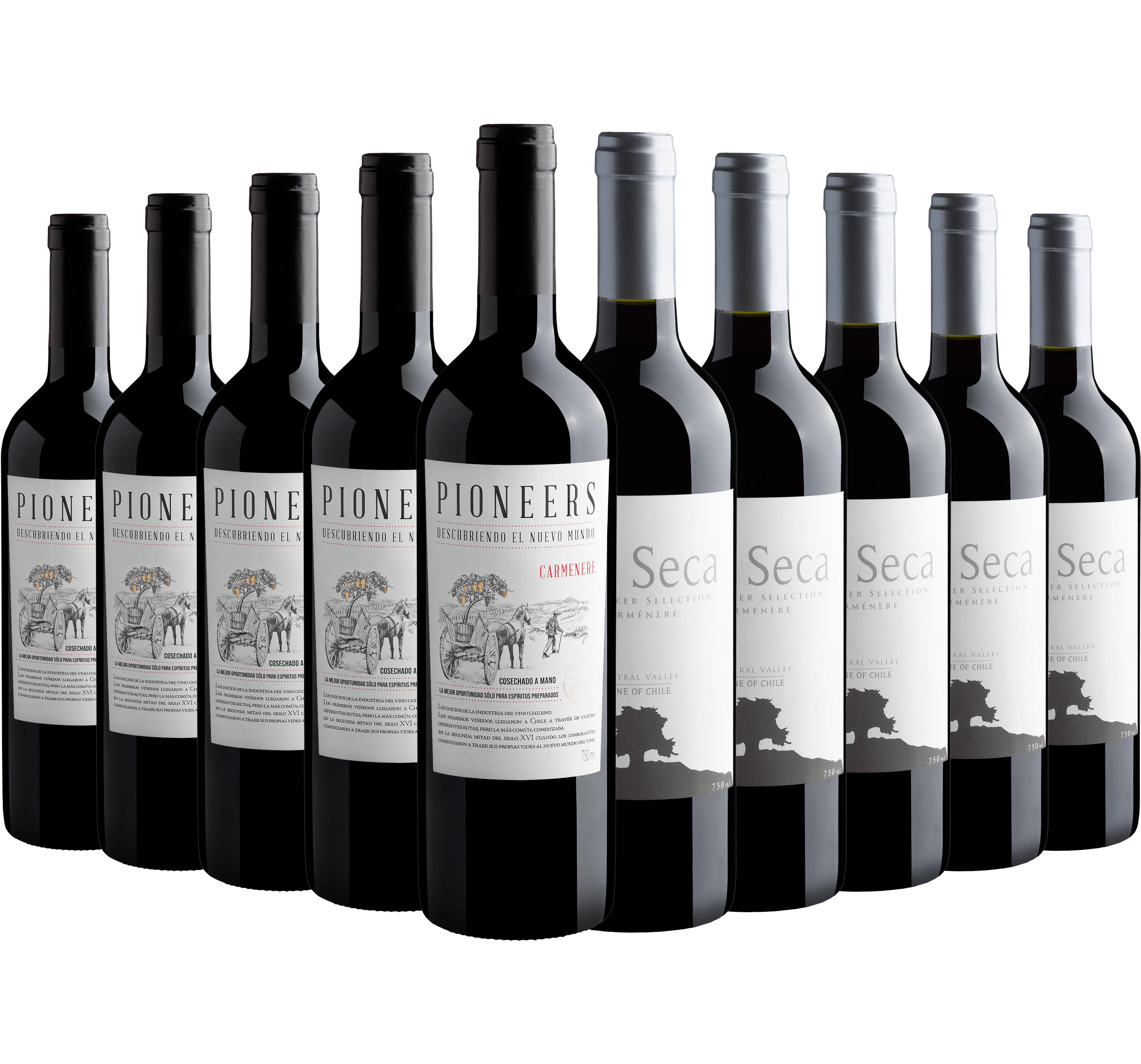 Kit Carménère | 5 Pioneers + 5 Isla Seca Winemaker