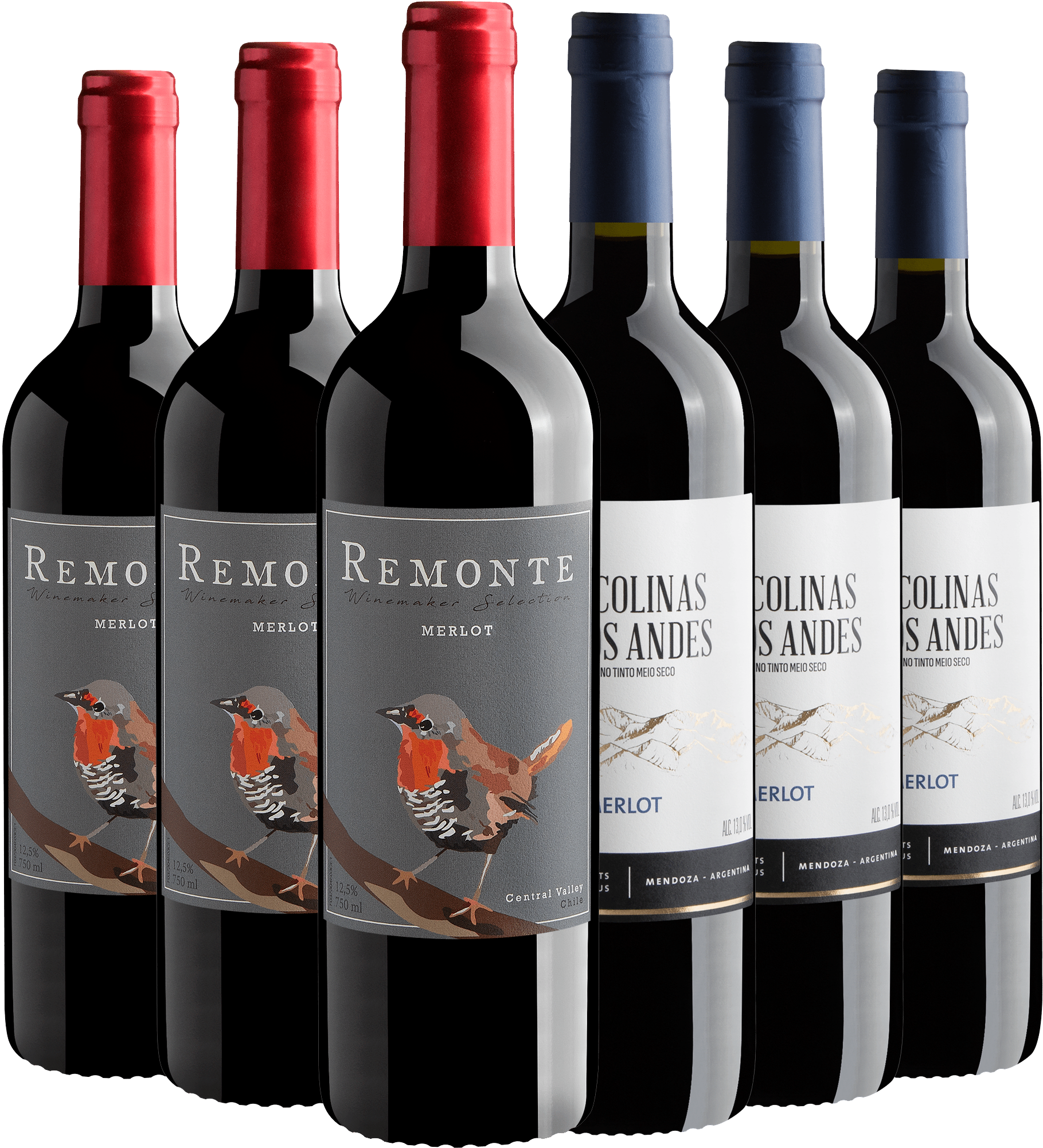 Kit Merlot | 3 Remonte Winemaker Selection + 3 Las Colinas de Los Andes