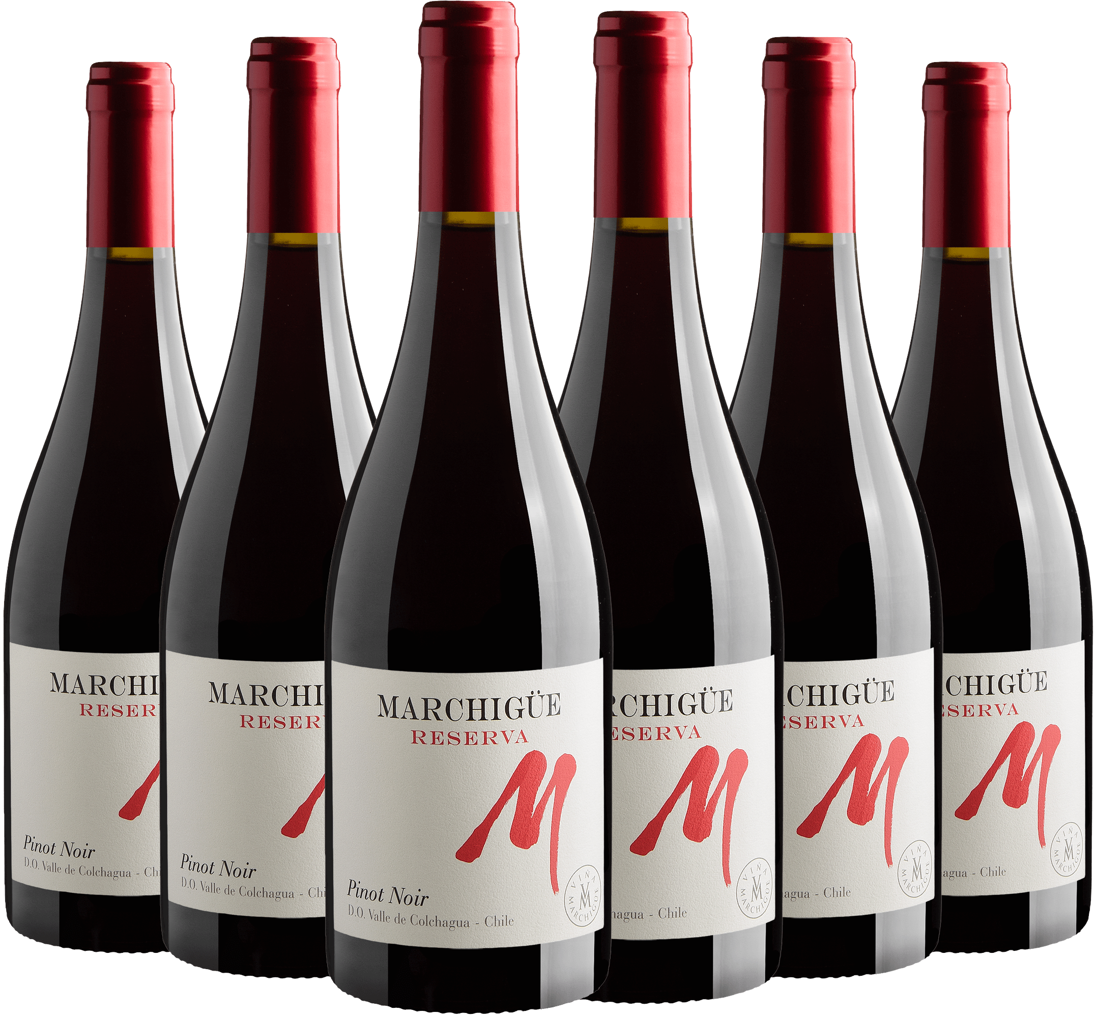 Kit 6 M Marchuigüe Reserva Pinot Noir Valle de Colchagua D.O.