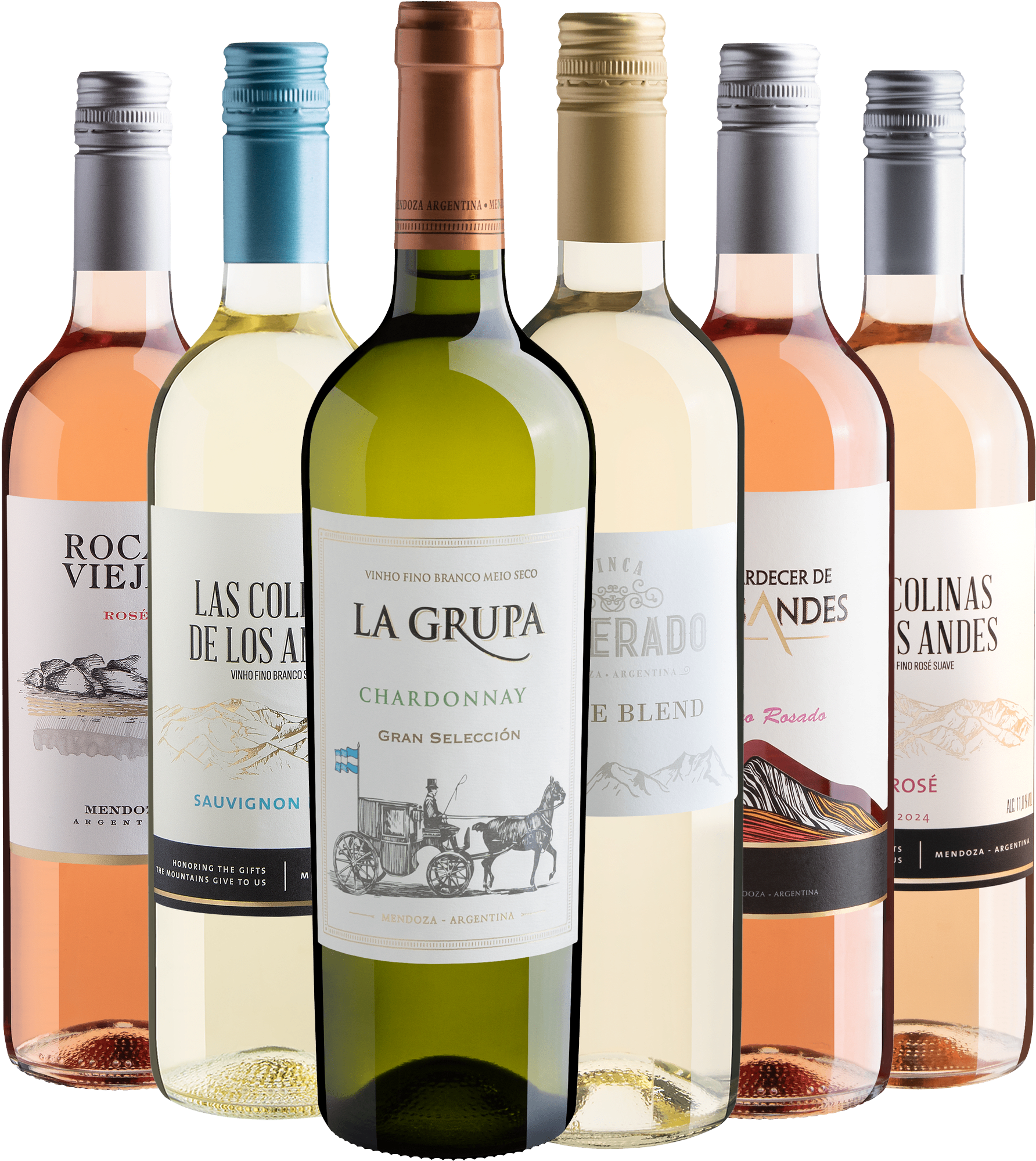 Kit 6 Vinhos Argentinos Leves 