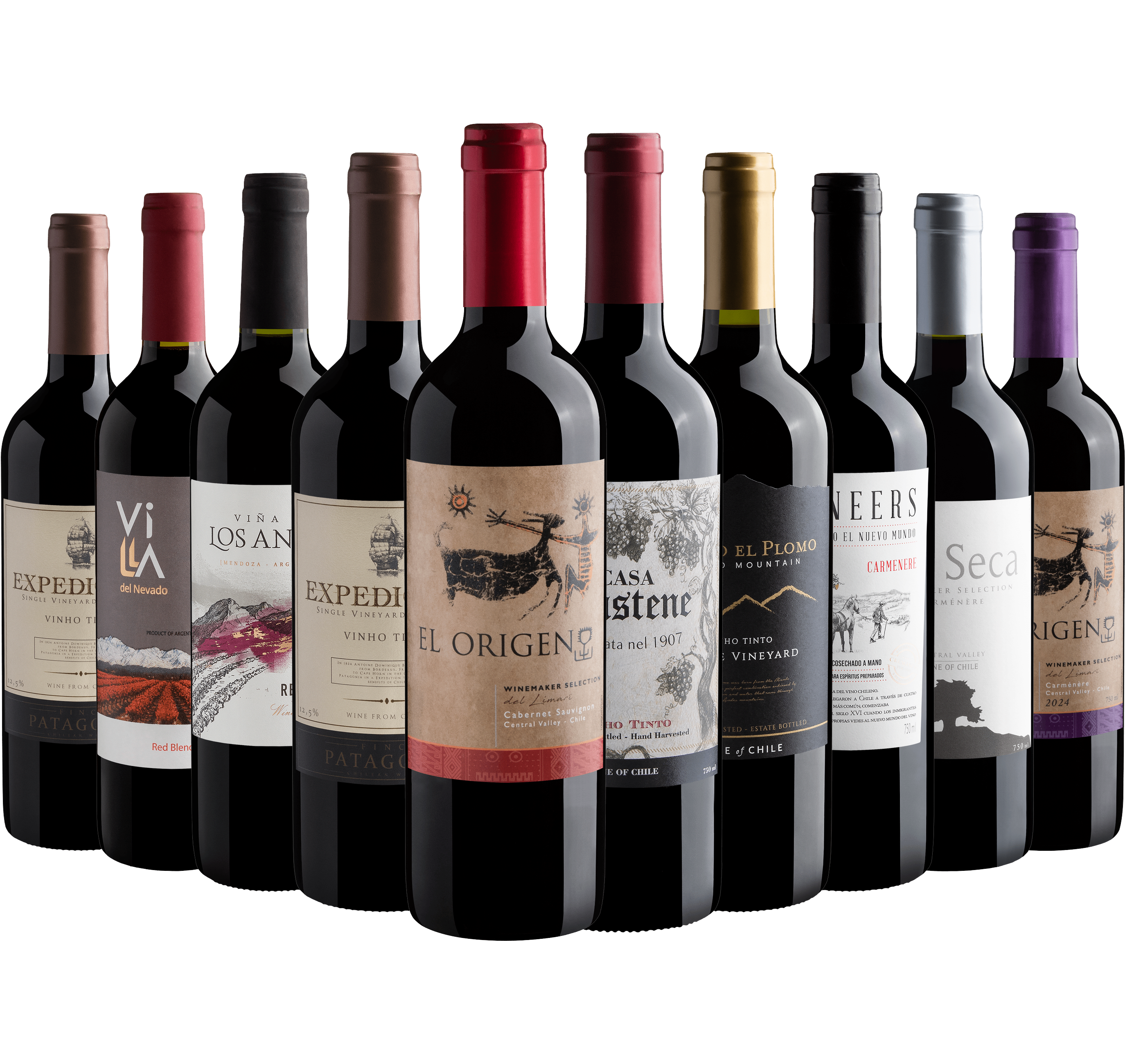 Kit 10 Vinhos do Novo Mundo*