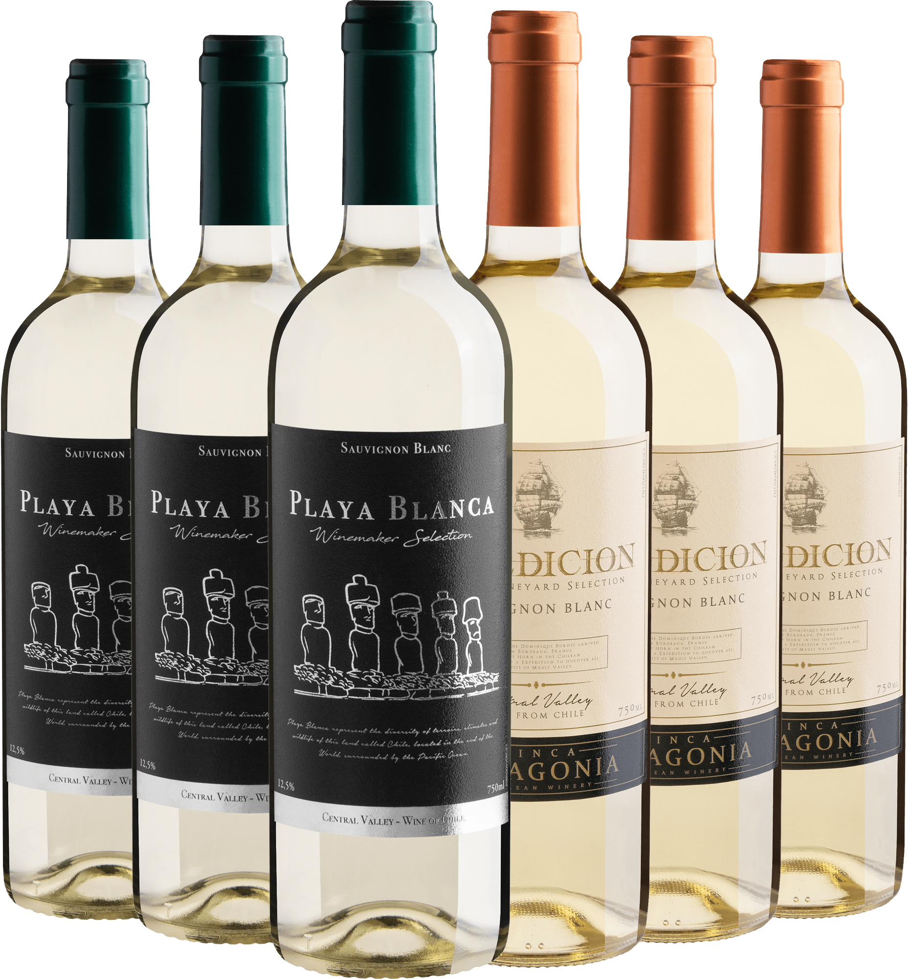 Kit Sauvignon Blanc | 3 Playa Blanca + 3 Expedicion