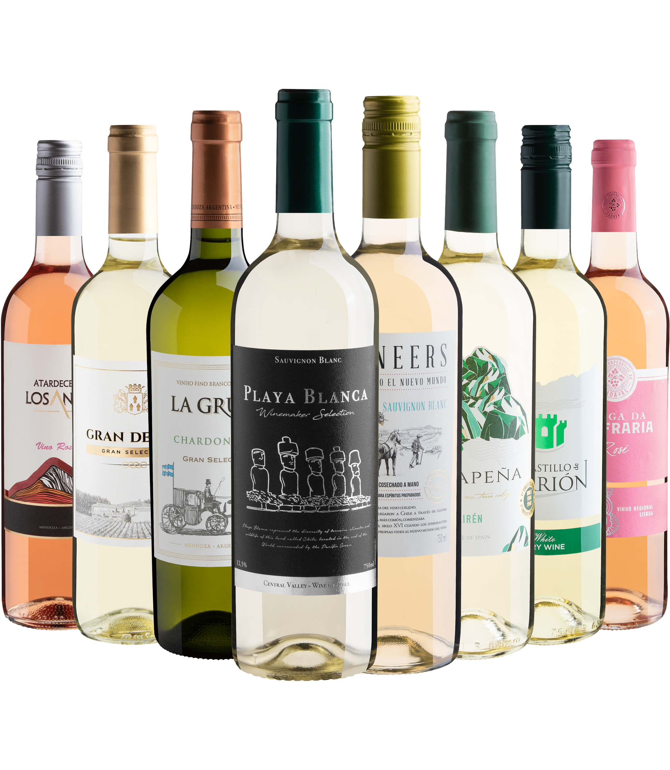 Kit 8 Vinhos Leves