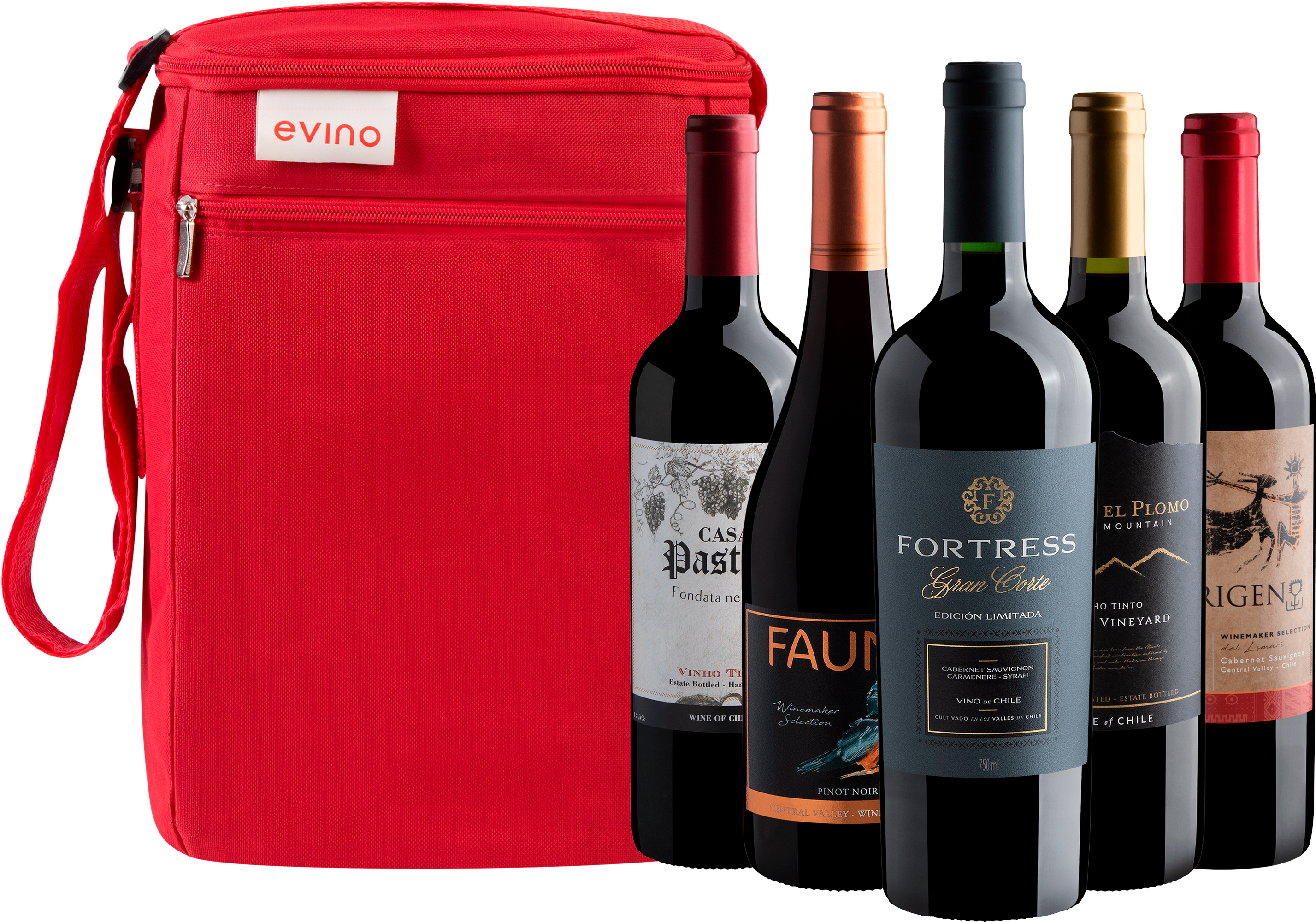 Kit 5 Vinhos Chilenos + Bolsa Exclusiva
