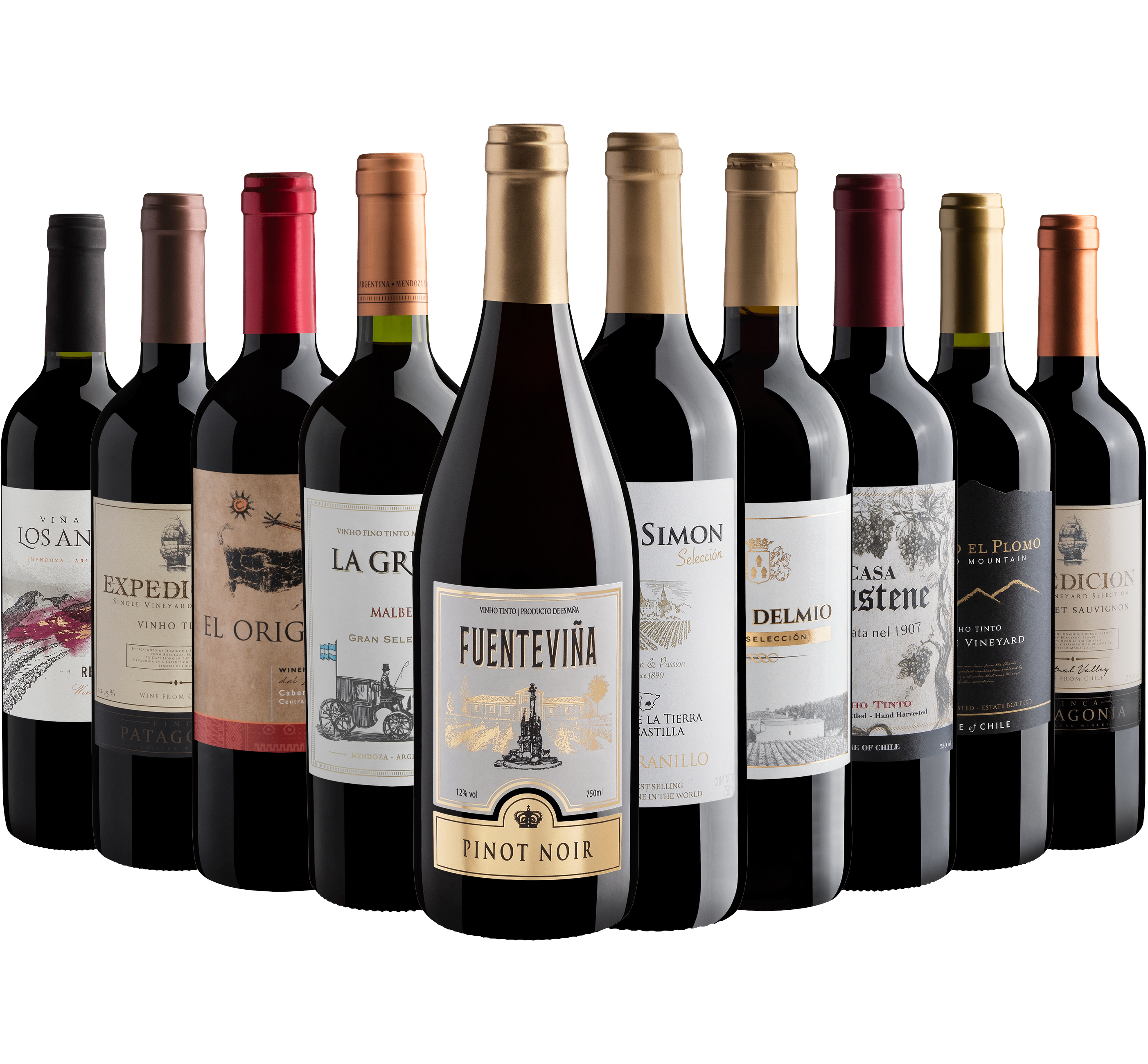 Kit 10 Vinhos Favoritos dos Clientes