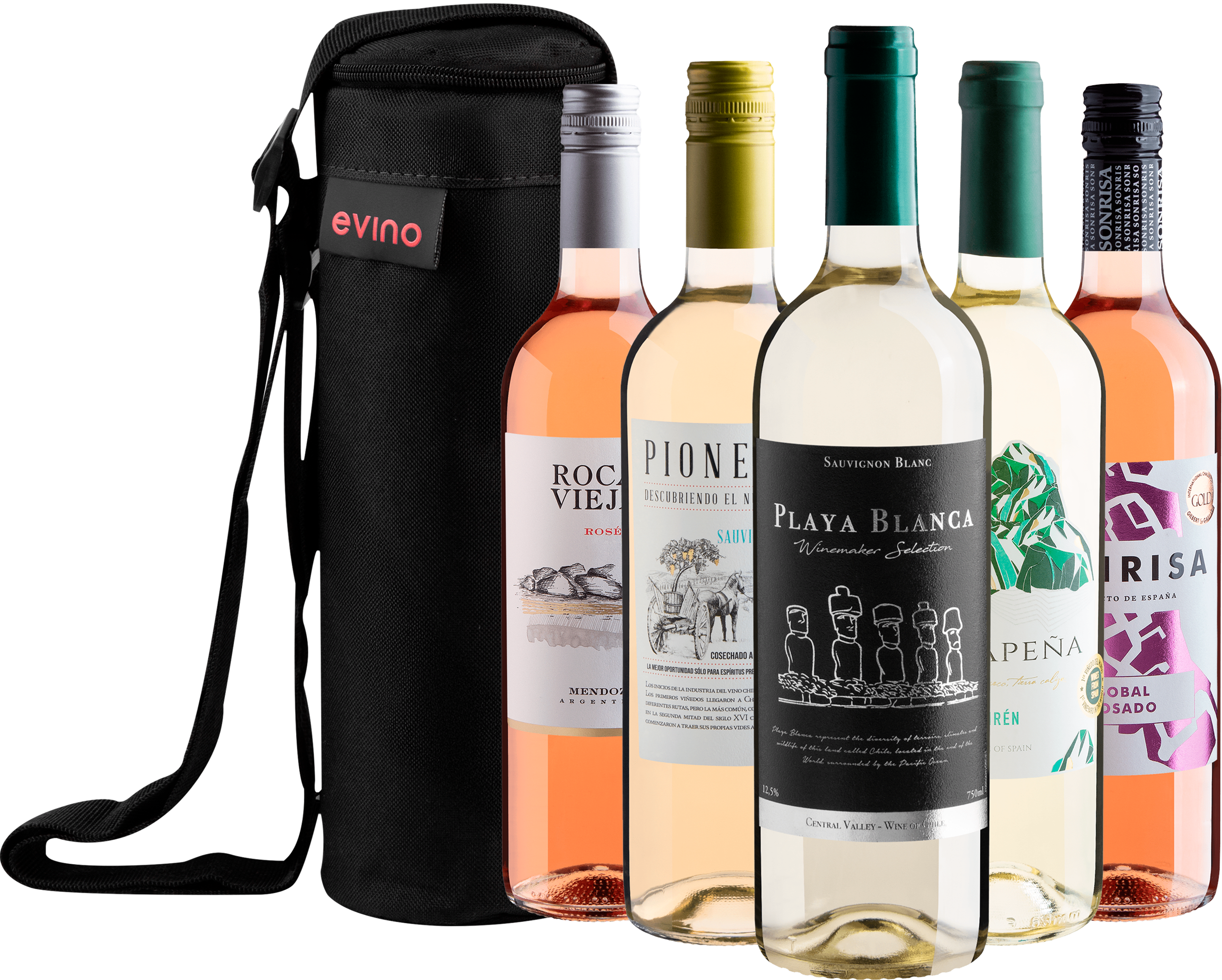 Kit 5 Vinhos Leves + Bolsa Exclusiva