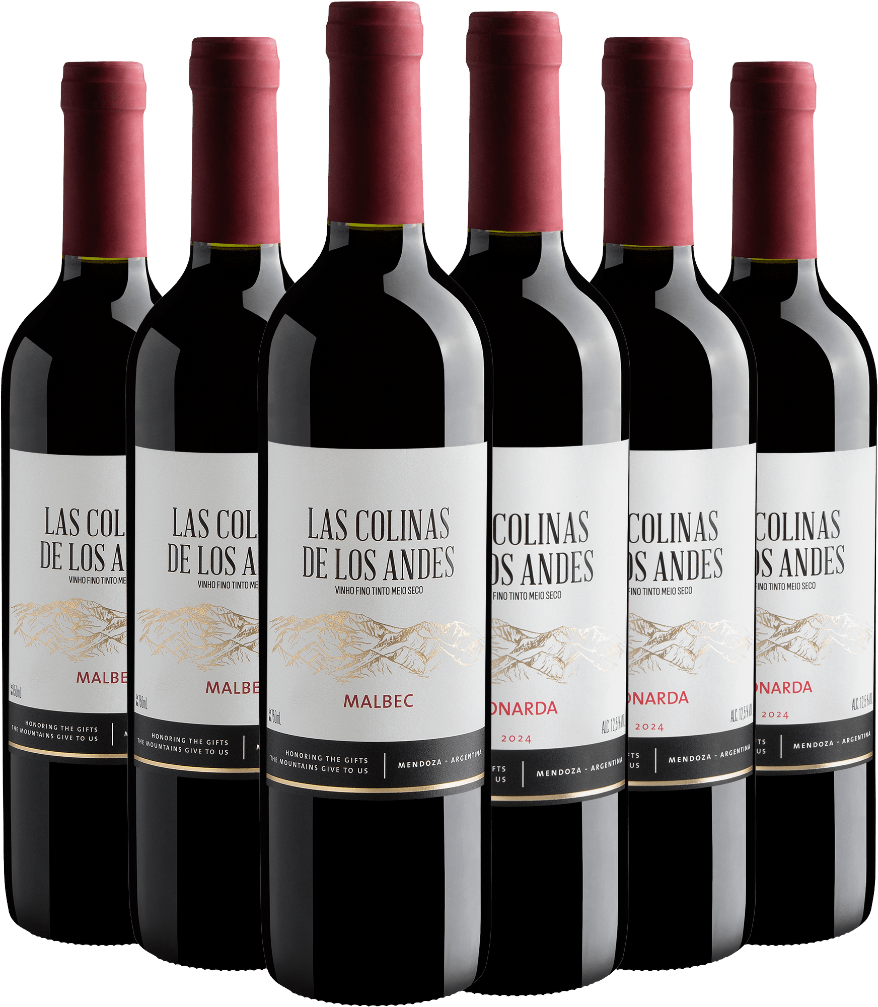 Kit Las Colinas de Los Andes: 3 Malbec + 3 Bonarda 