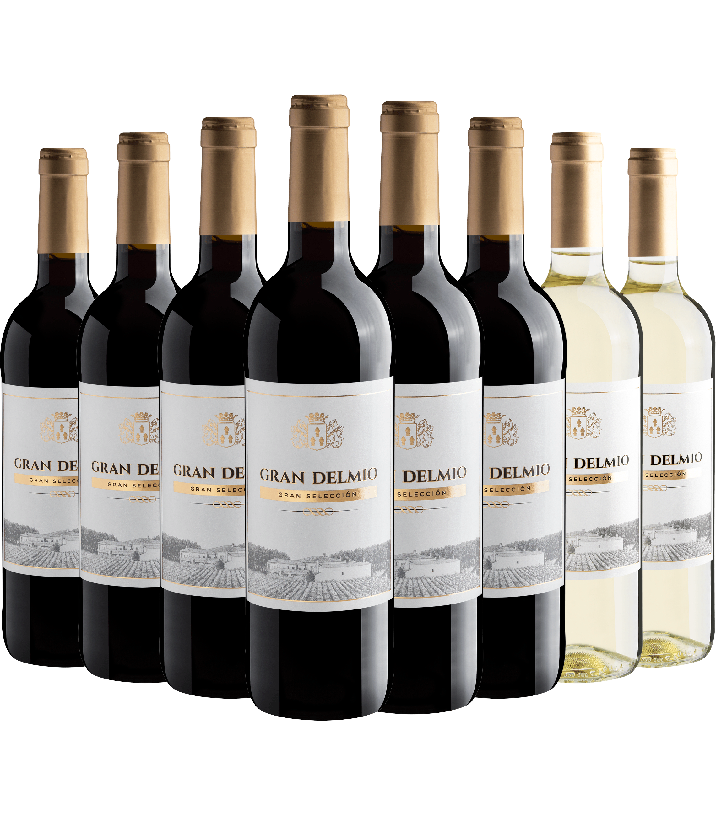 Kit Gran Delmio: 6 Tinto + 2 Branco