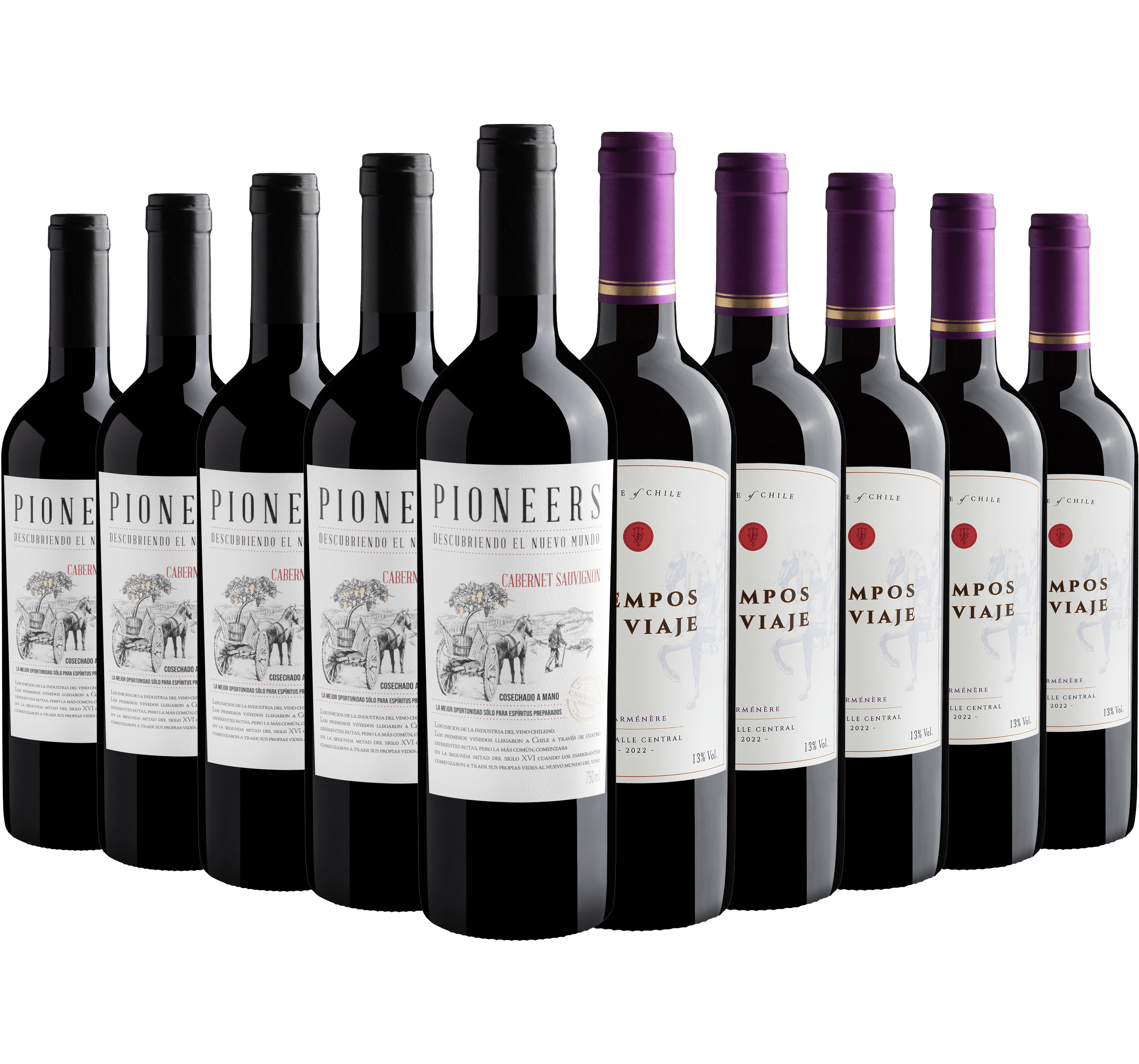 Kit 5 Cabernet Sauvignon + 5 Carménère
