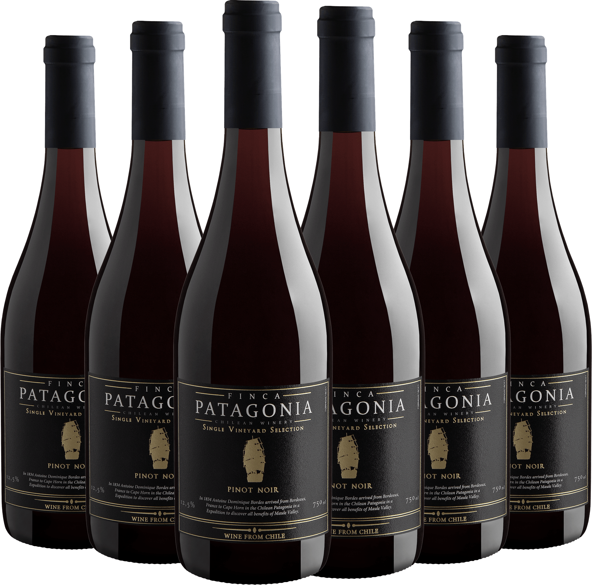 Kit 6 Finca Patagonia Single Vineyard Selection Pinot Noir Central Valley D.O.