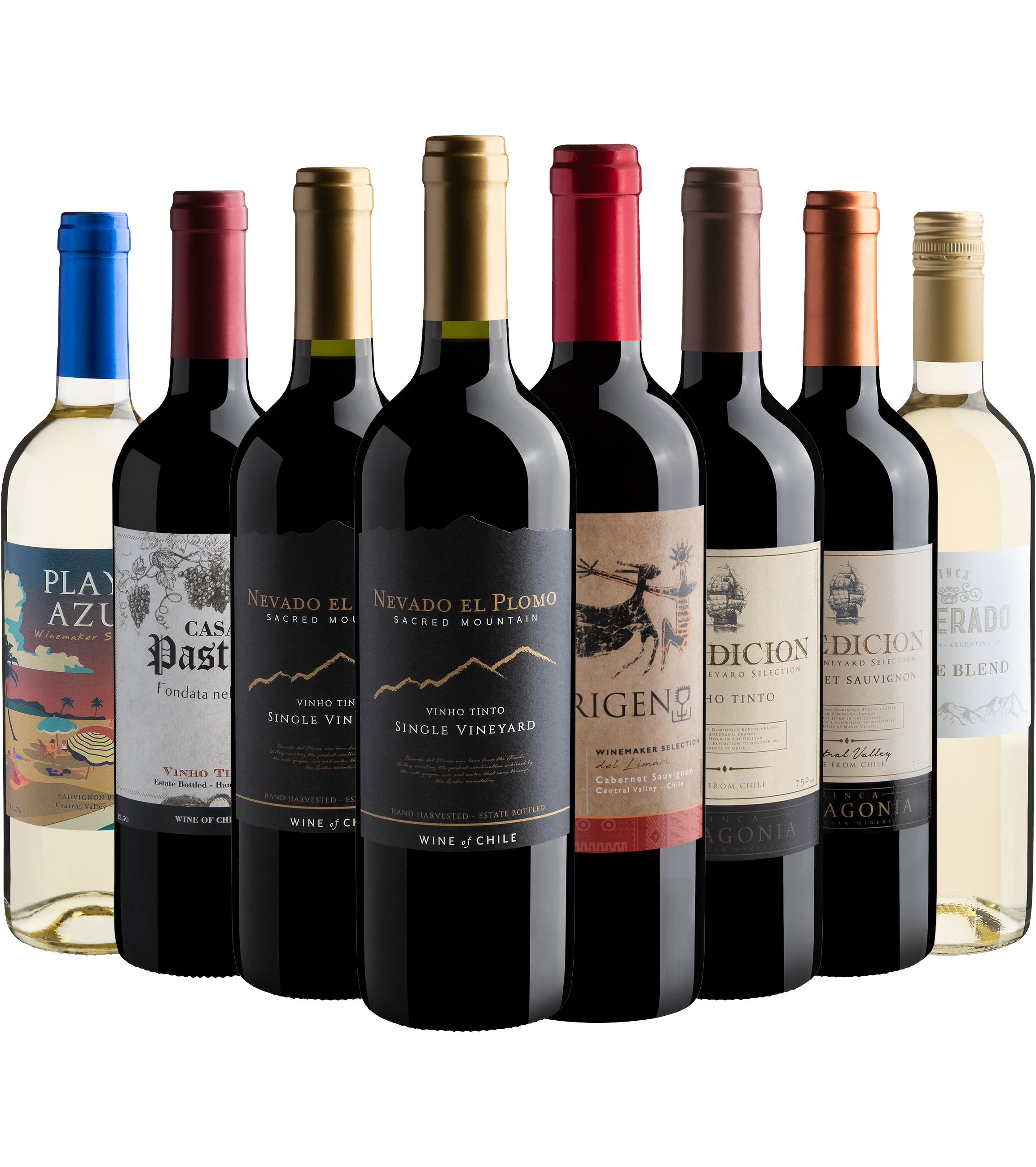 Kit 8 Vinhos do Novo Mundo