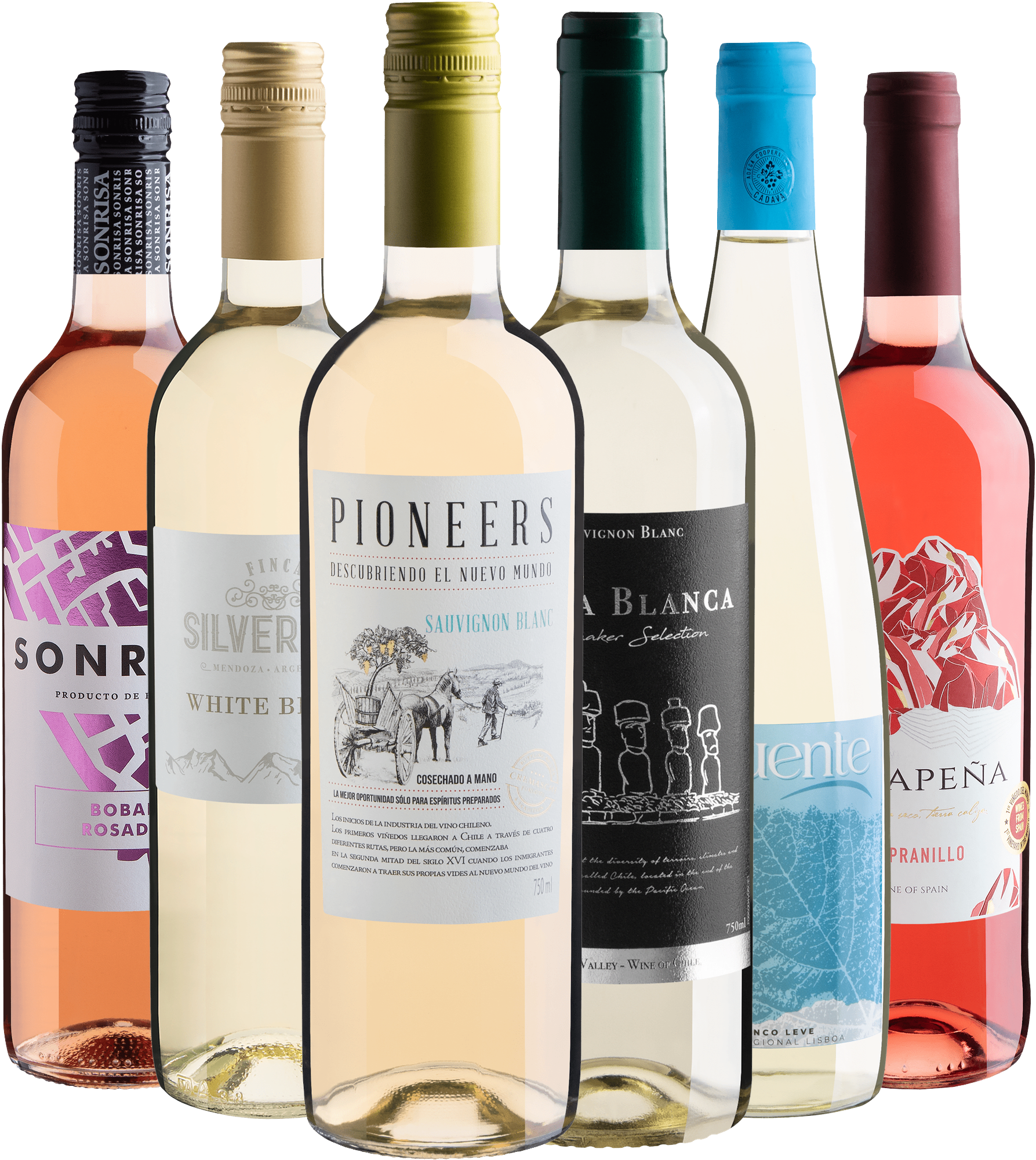 Kit 6 Vinhos Leves