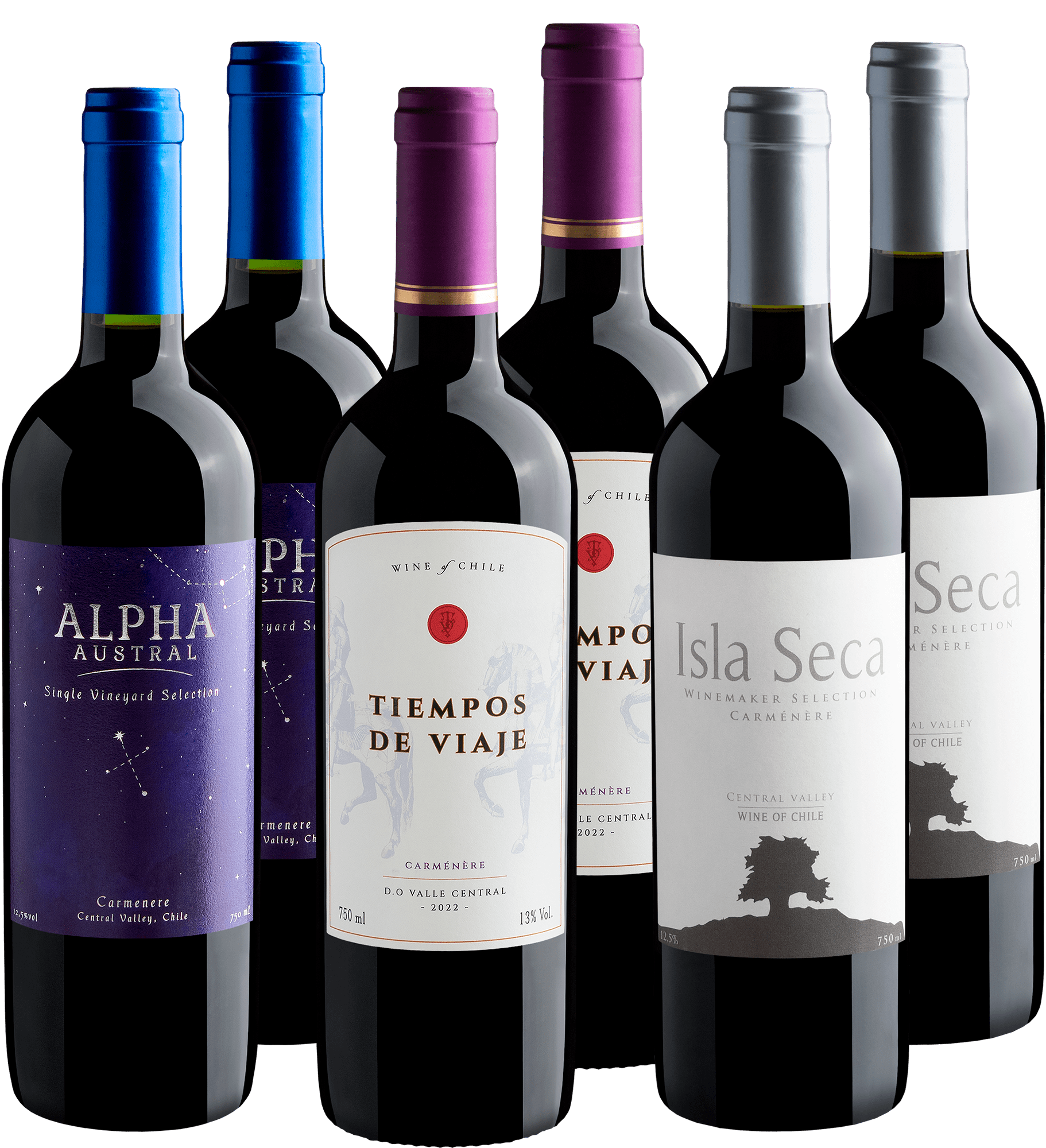 Kit Carménère em Dobro | 6 garrafas