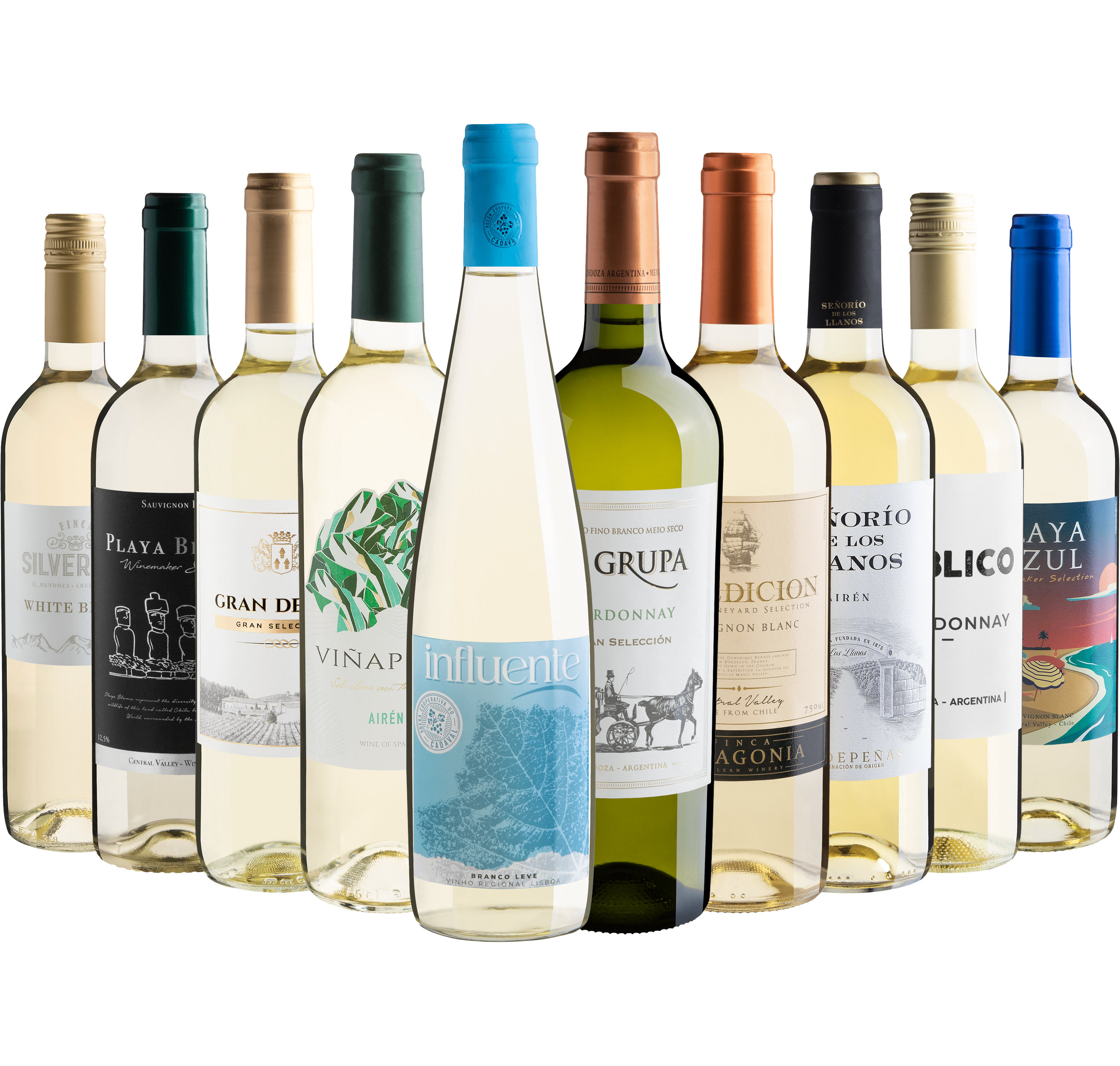 Kit 10 Vinhos Brancos*