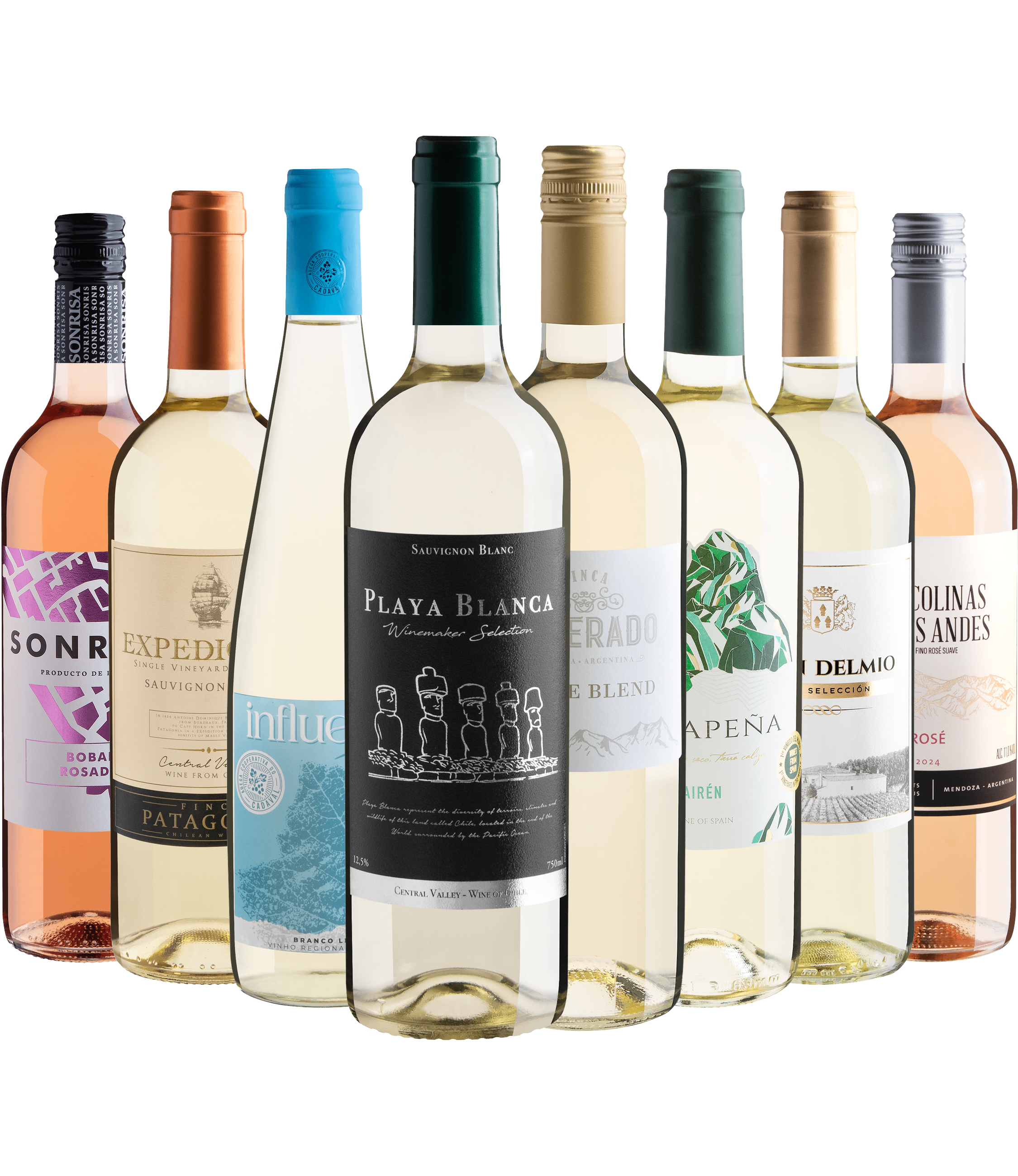 Kit 8 Vinhos Leves