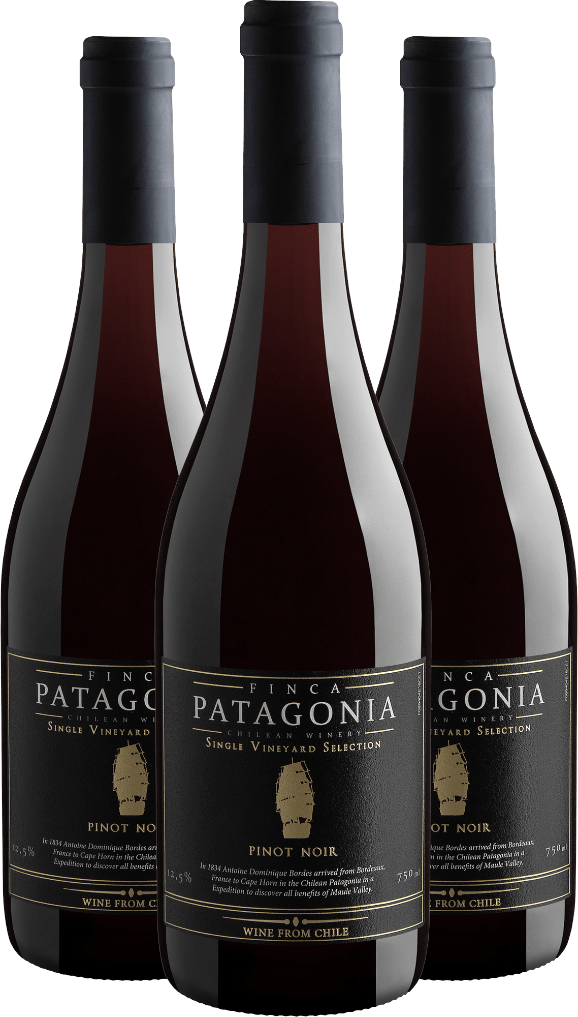Kit 3 Finca Patagonia Single Vineyard Selection Pinot Noir Central Valley D.O.