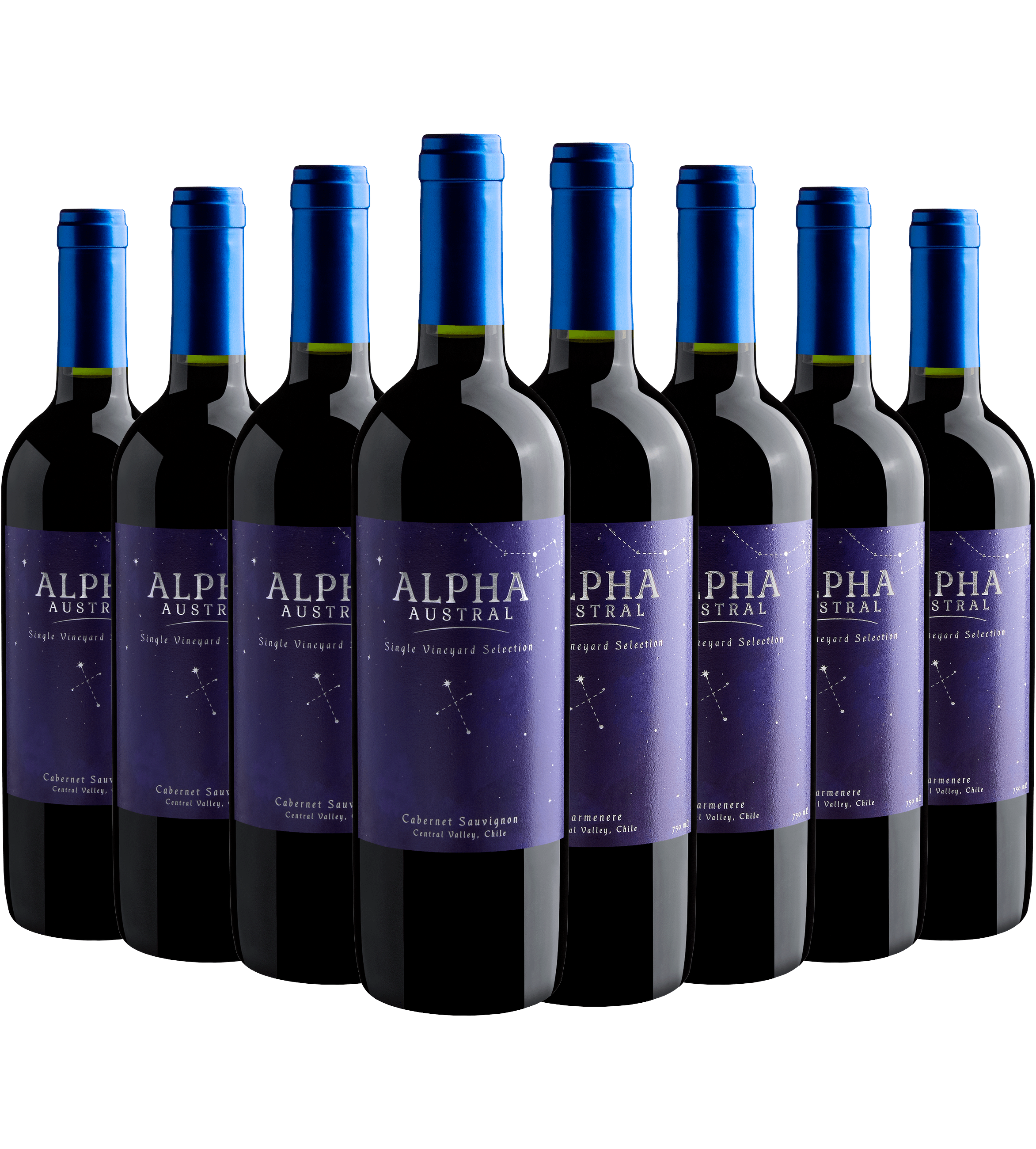 Kit Alpha Austral | 4 Cabernet Sauvignon + 4 Carménère