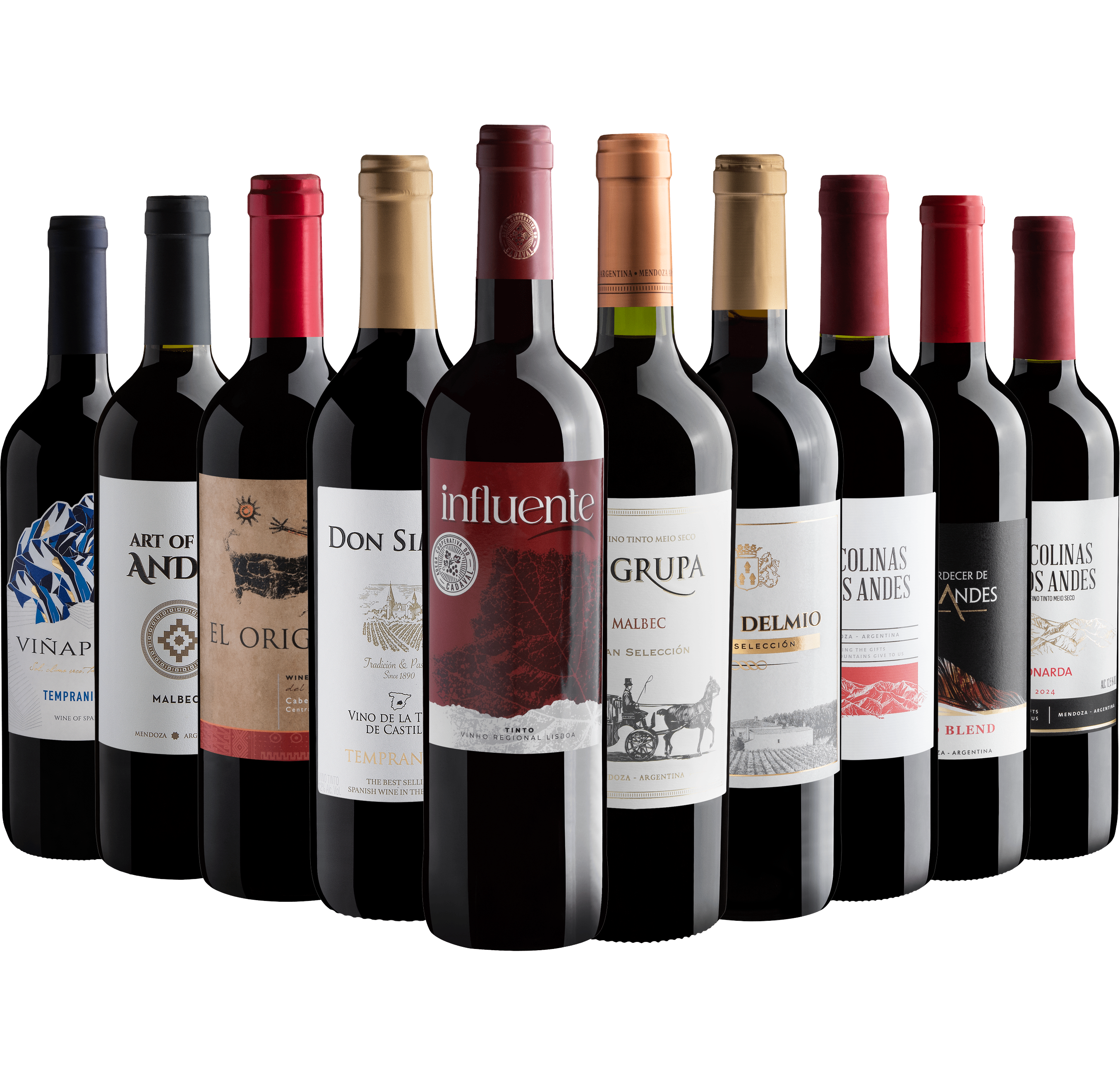 Kit 10 Vinhos Tintos