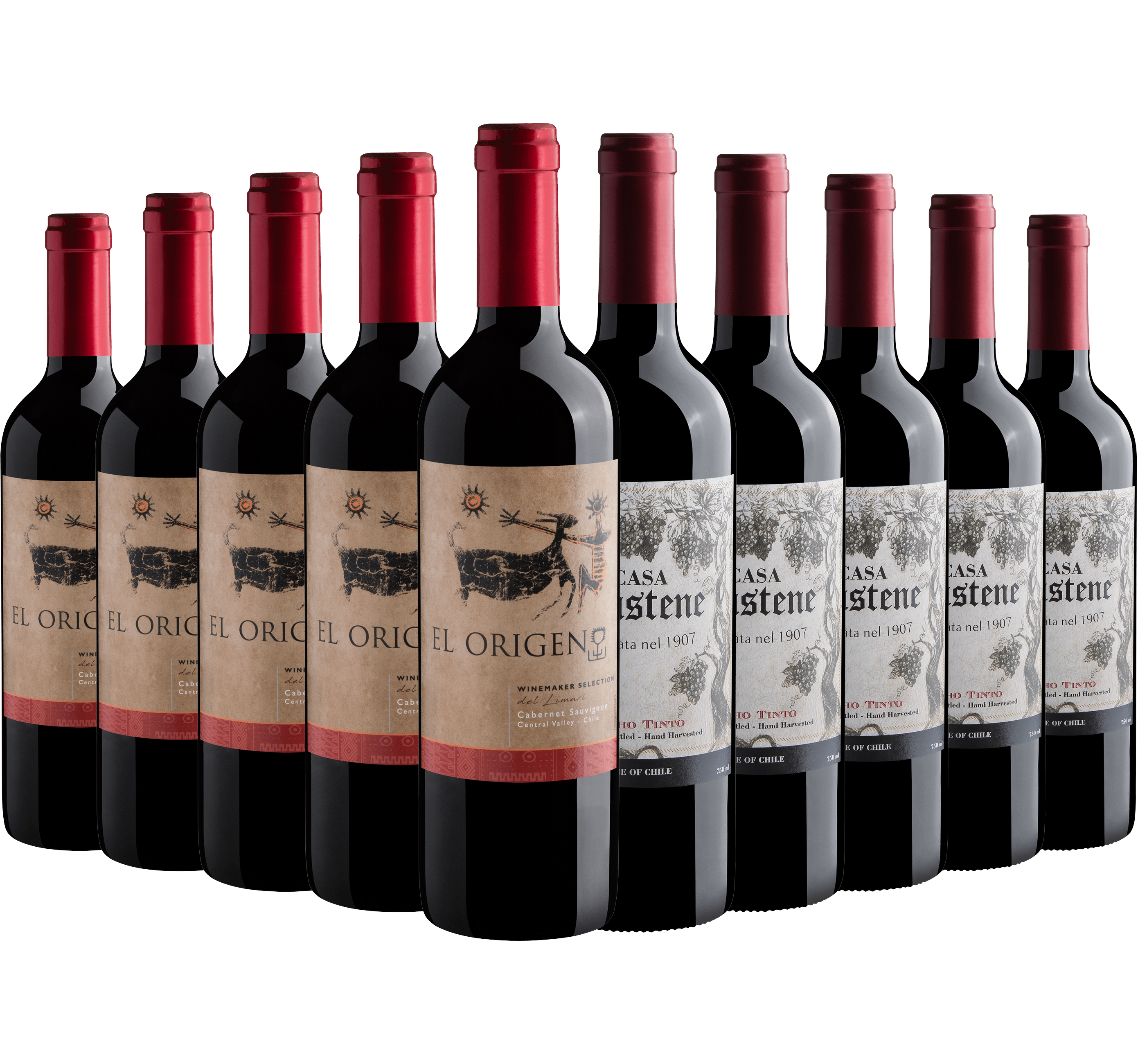 Kit Vinhos Chilenos | 5 El Origen + 5 Casa Pastene*