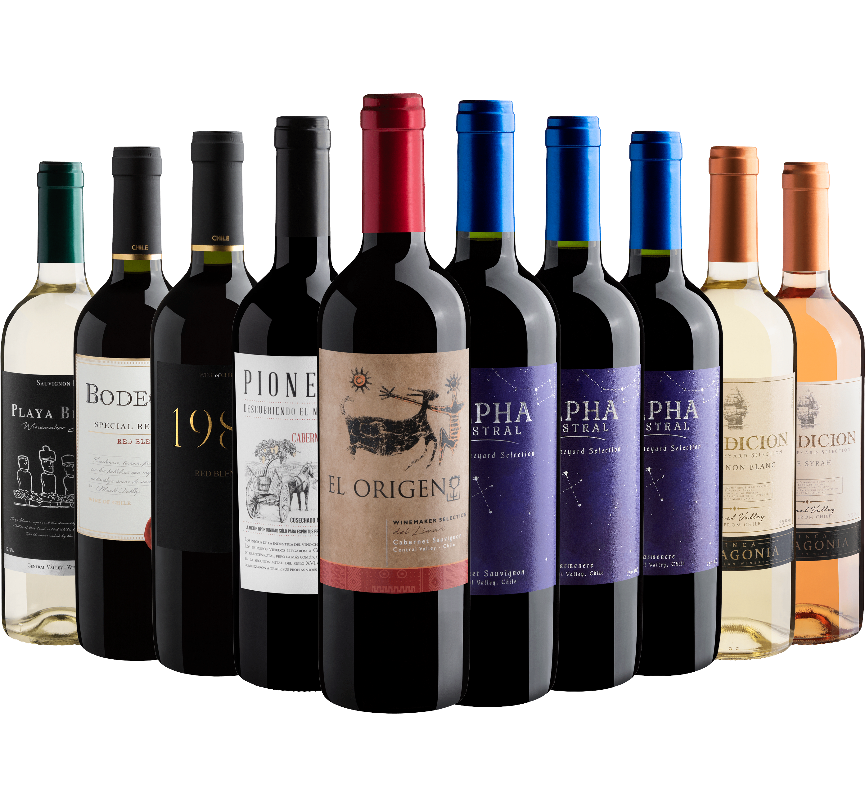 Kit 10 Vinhos do Chile