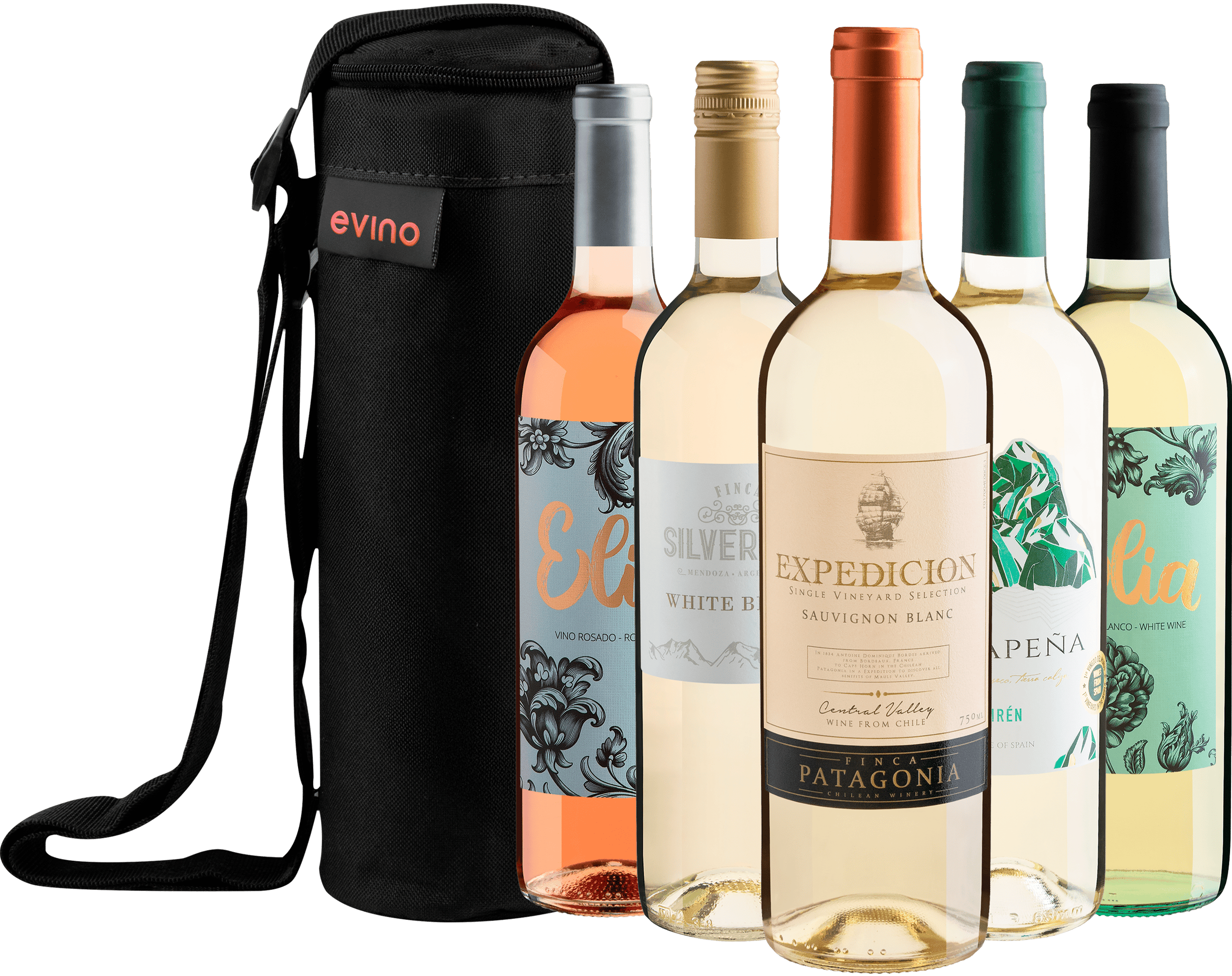 Kit 5 Vinhos Leves + Bolsa Exclusiva