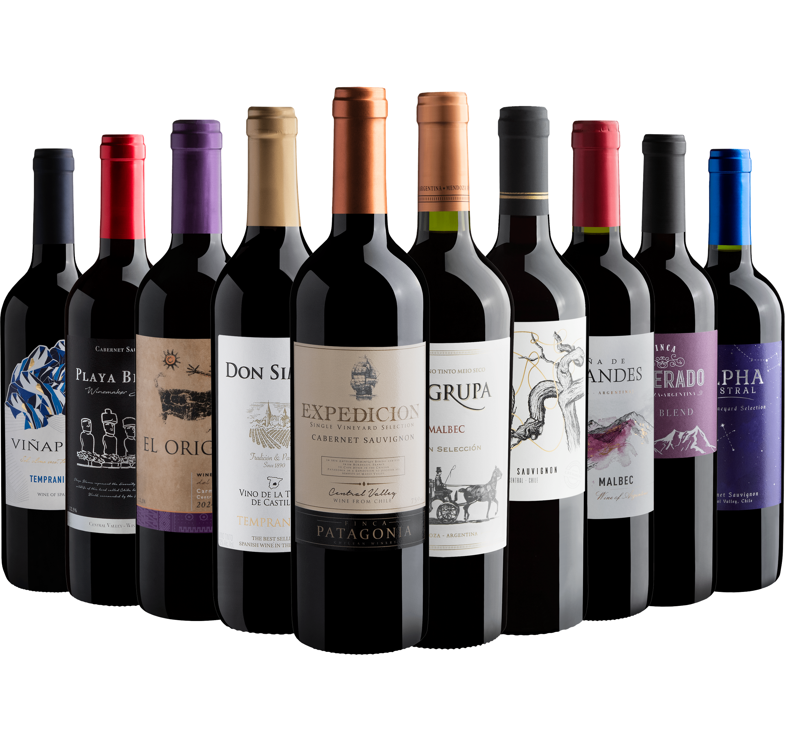 Kit 10 Vinhos Tintos*