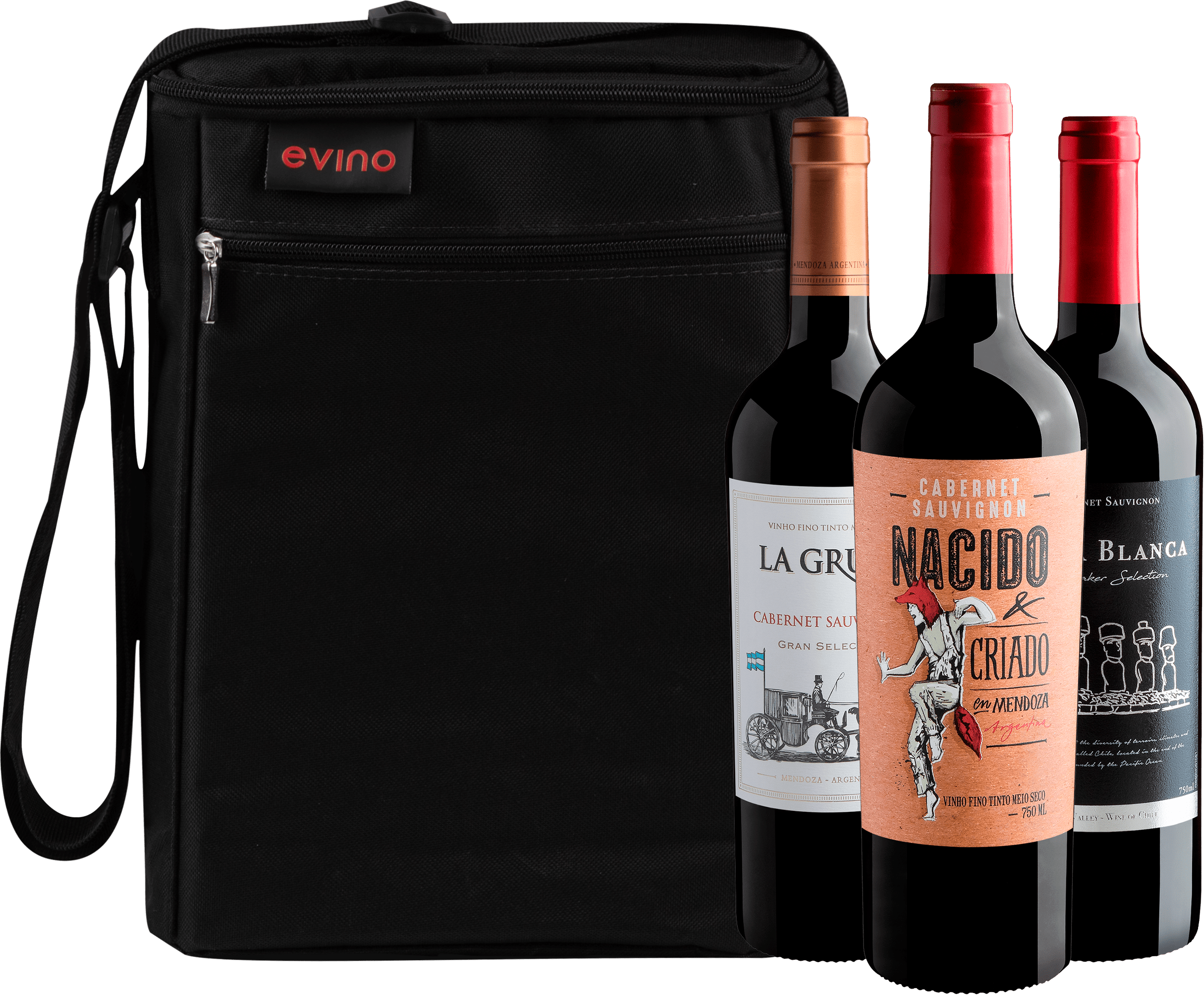 Kit 3 Cabernets Sauvignons + Bolsa Exclusiva