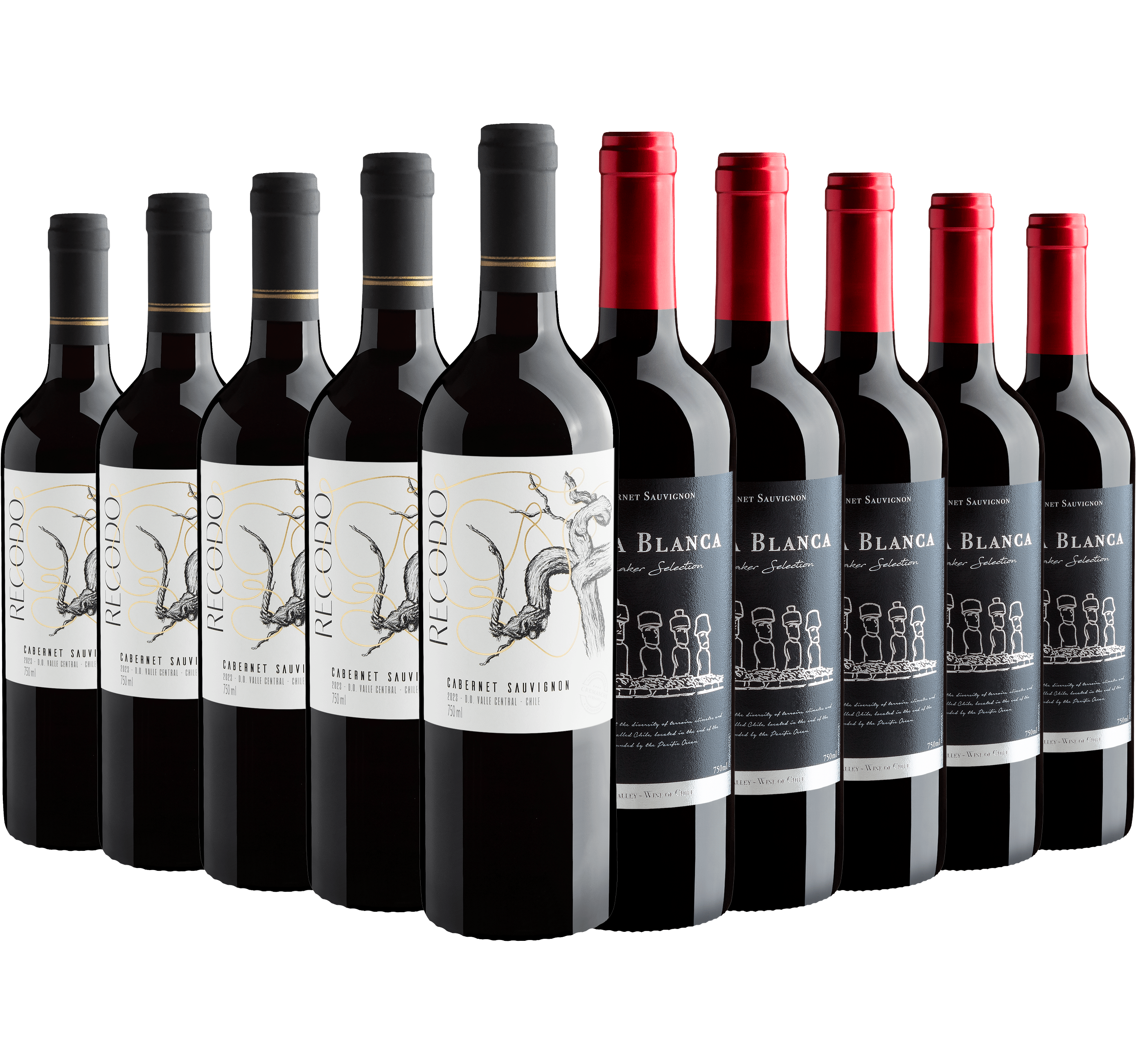 Kit Cabernet Sauvignon | 5 Recodo + 5 Playa Blanca