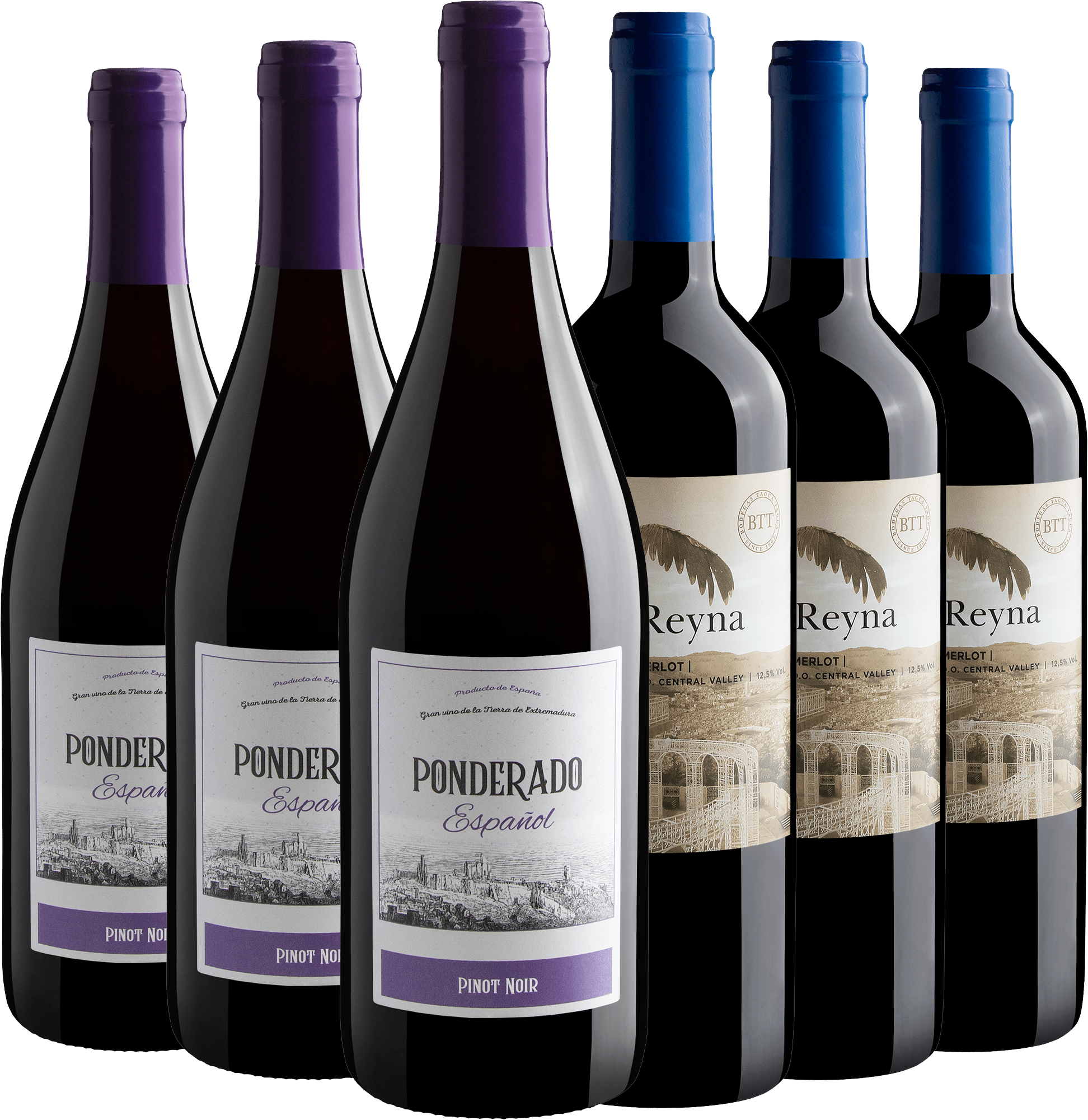 Kit Pinot e Merlot | 3 Ponderado + 3 Reyna