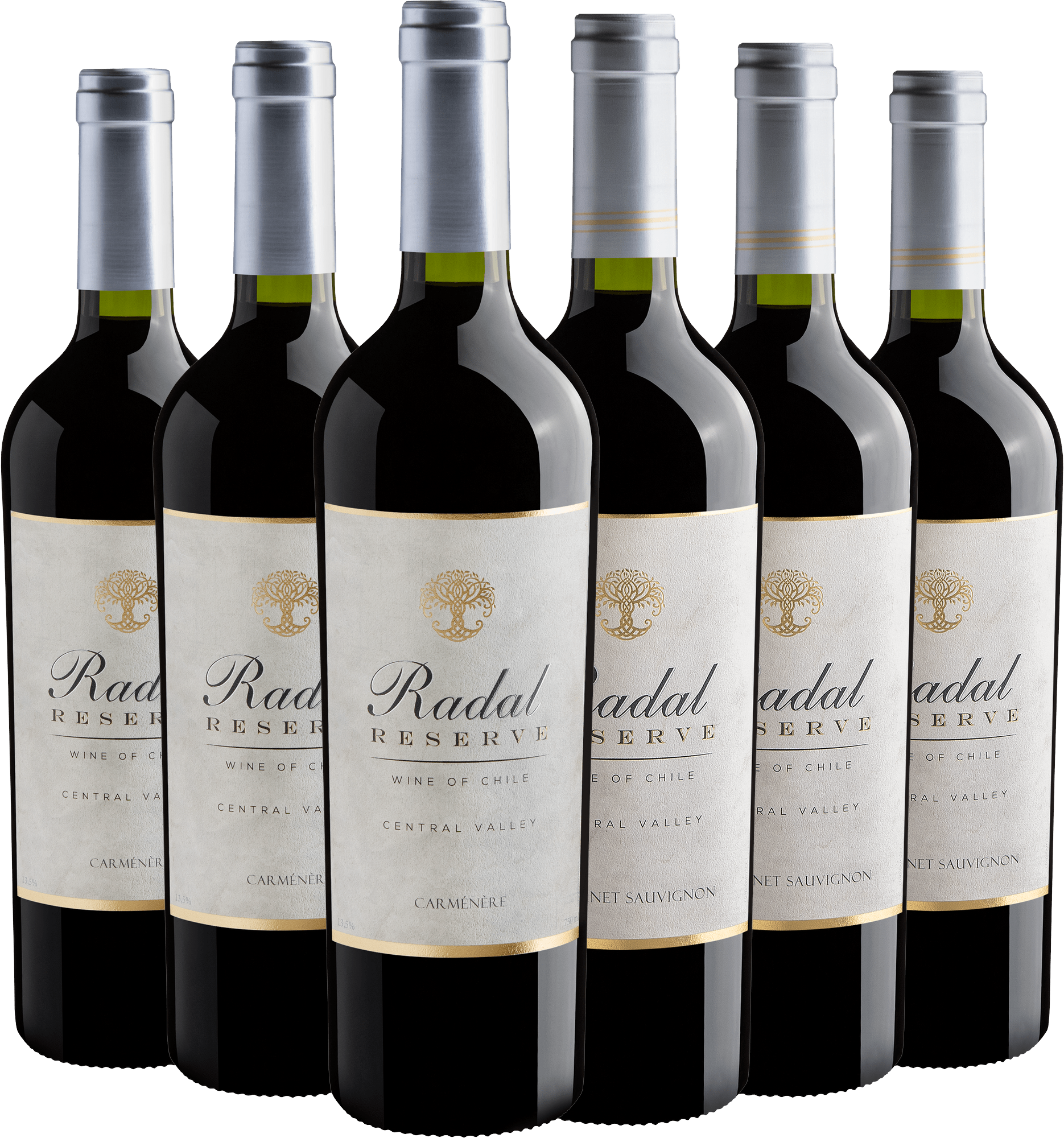 Kit Radal Reserve | 3 Carménère + 3 Cabernet Sauvignon