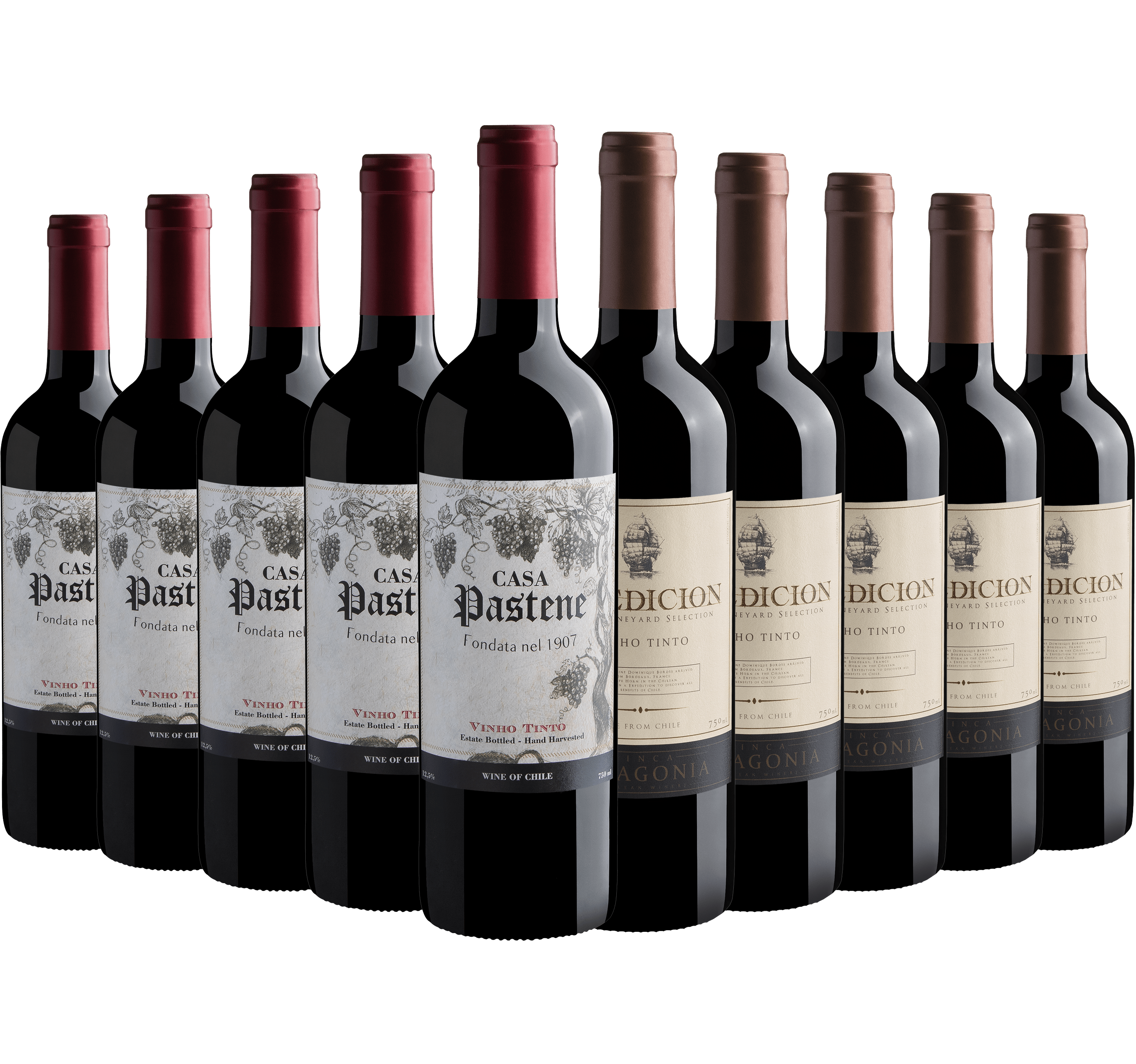 Kit Chilenos | 5 Casa Pastene + 5 Expedicion Single Vineyard*