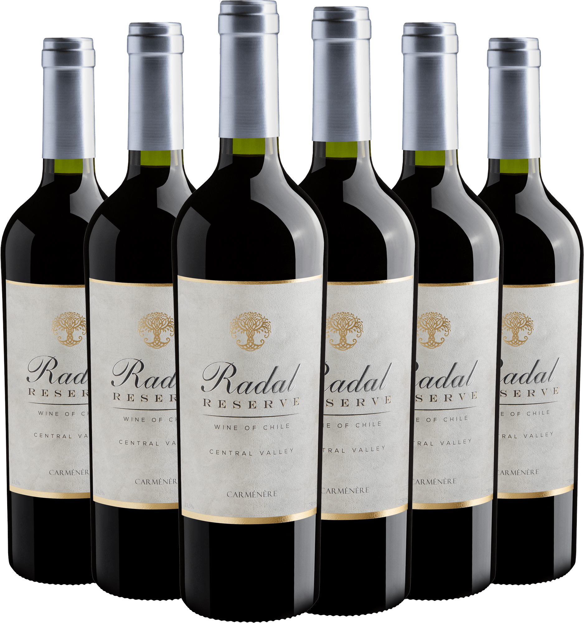 Kit 6 Radal Reserve Carménère