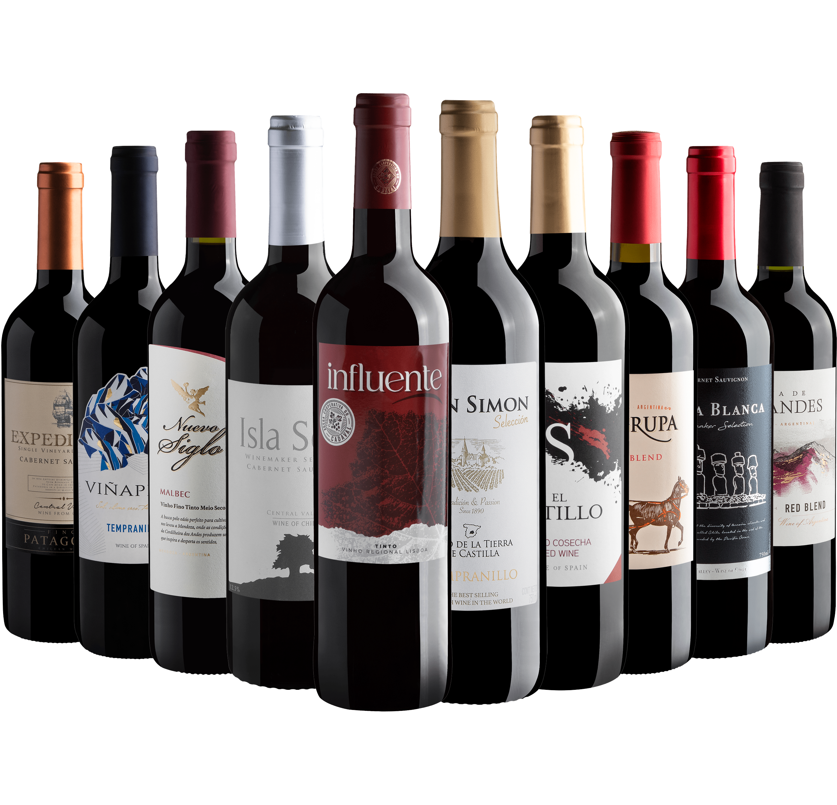 Kit 10 Vinhos Tintos