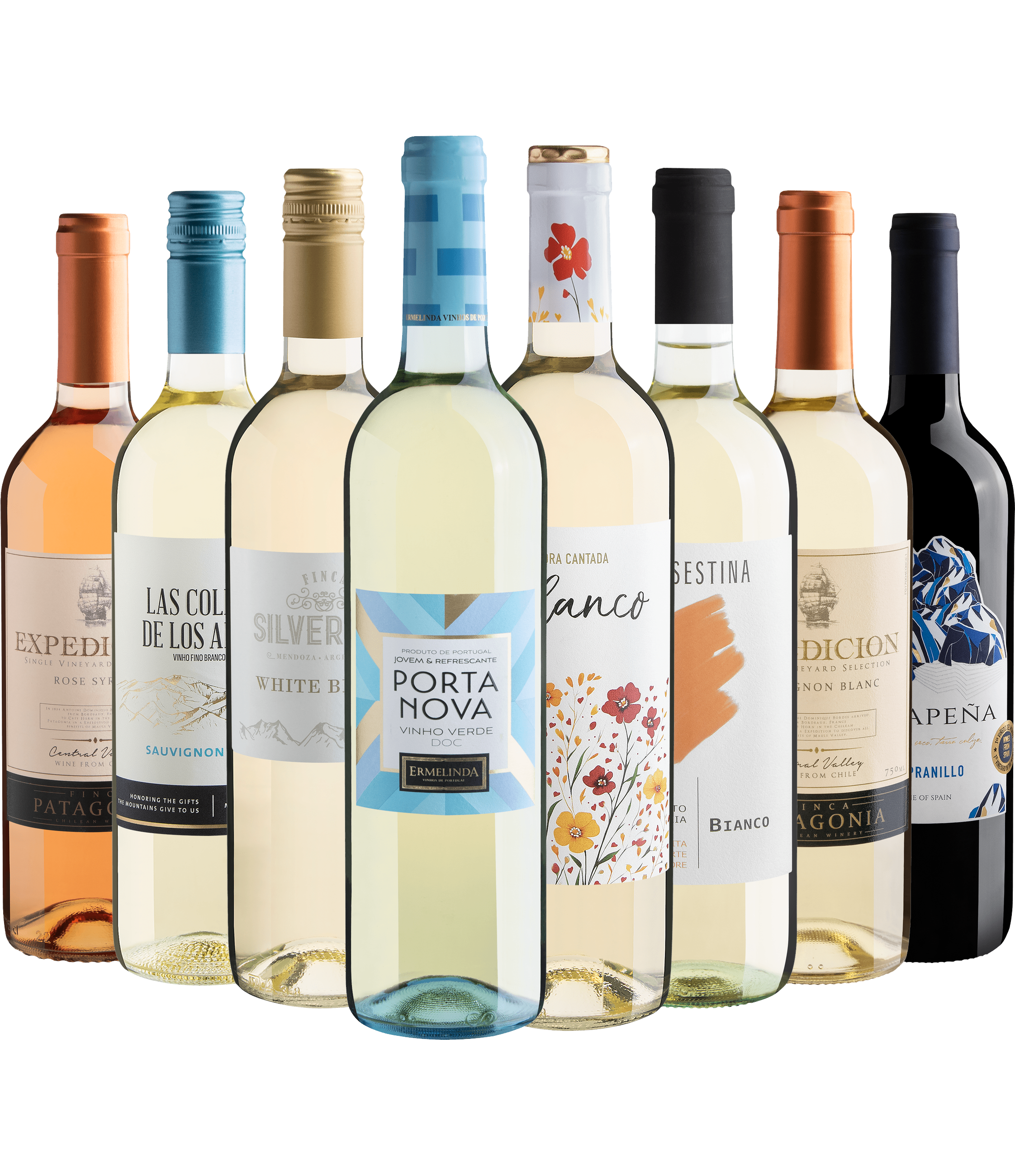 Kit 8 Vinhos Leves com Porta Nova Vinho Verde