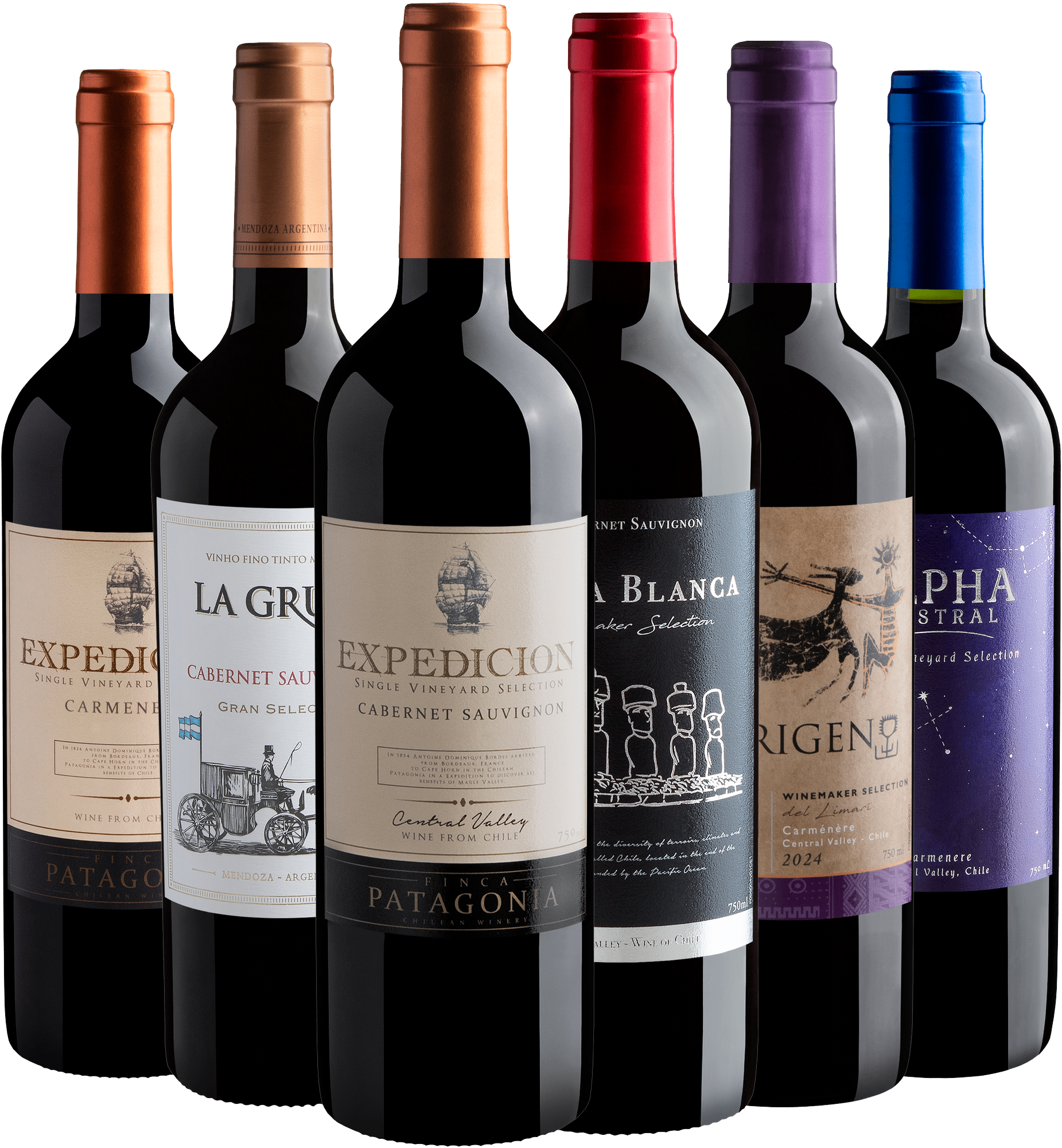 Kit Cabernet Sauvignon e Carménère | 6 garrafas