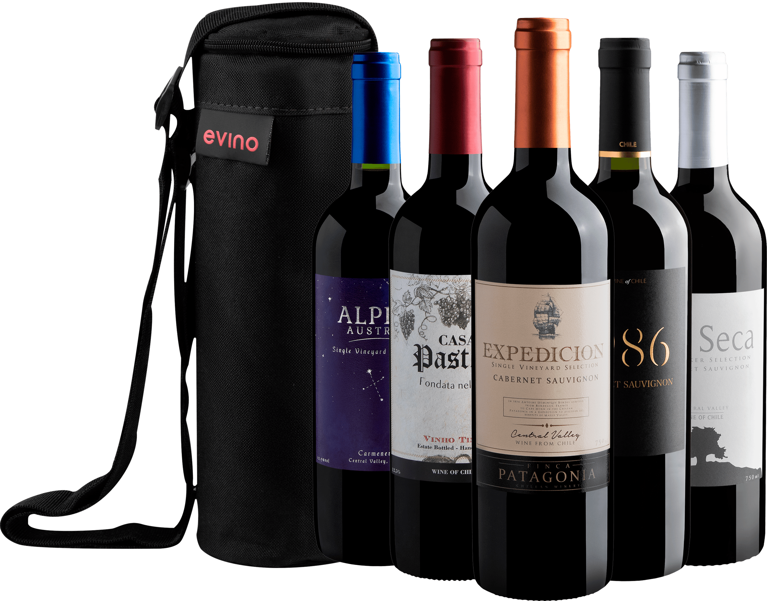 Kit 5 Tintos Chilenos com Bolsa Exclusiva