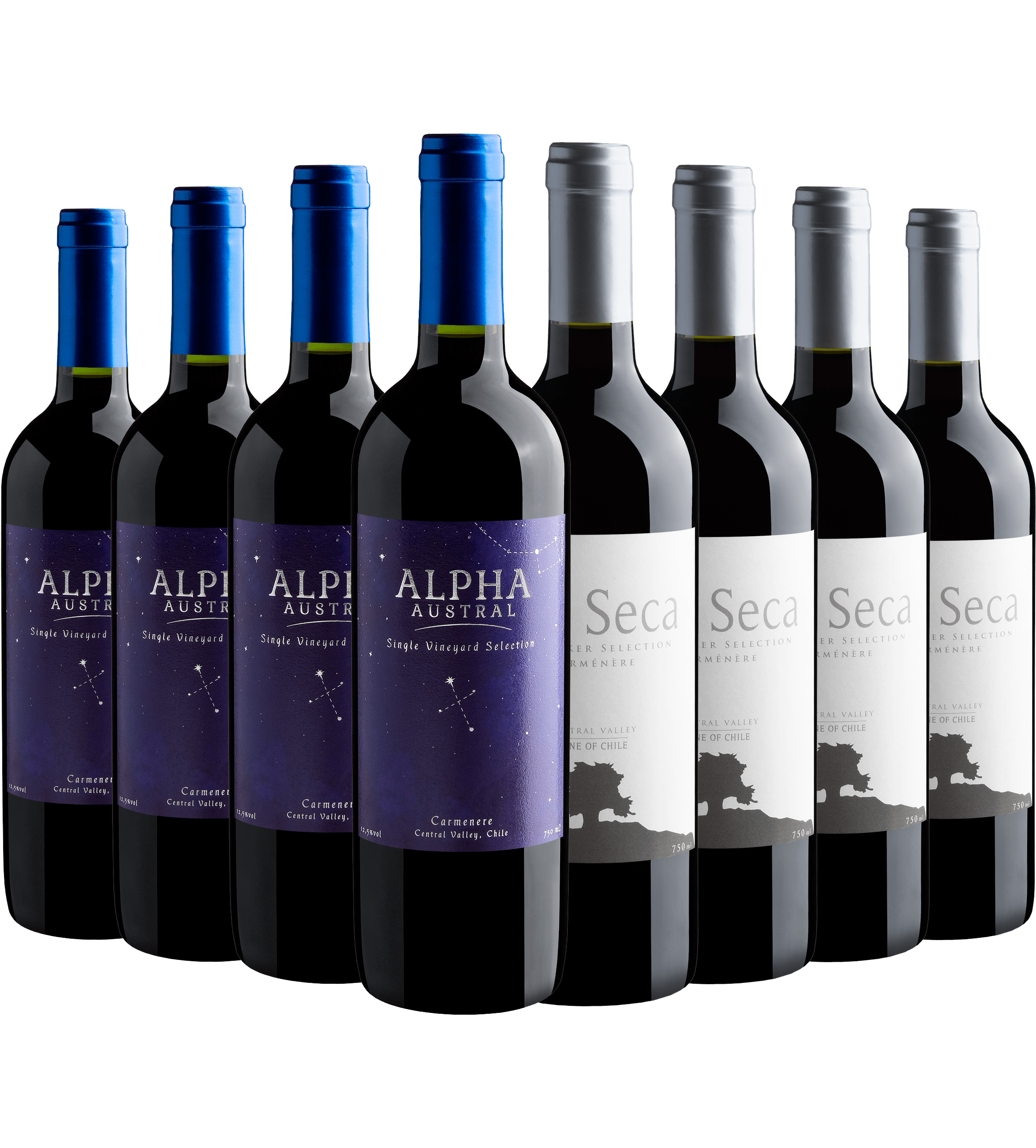 Kit Carménère | 4 Alpha Austral + 4 Isla Seca