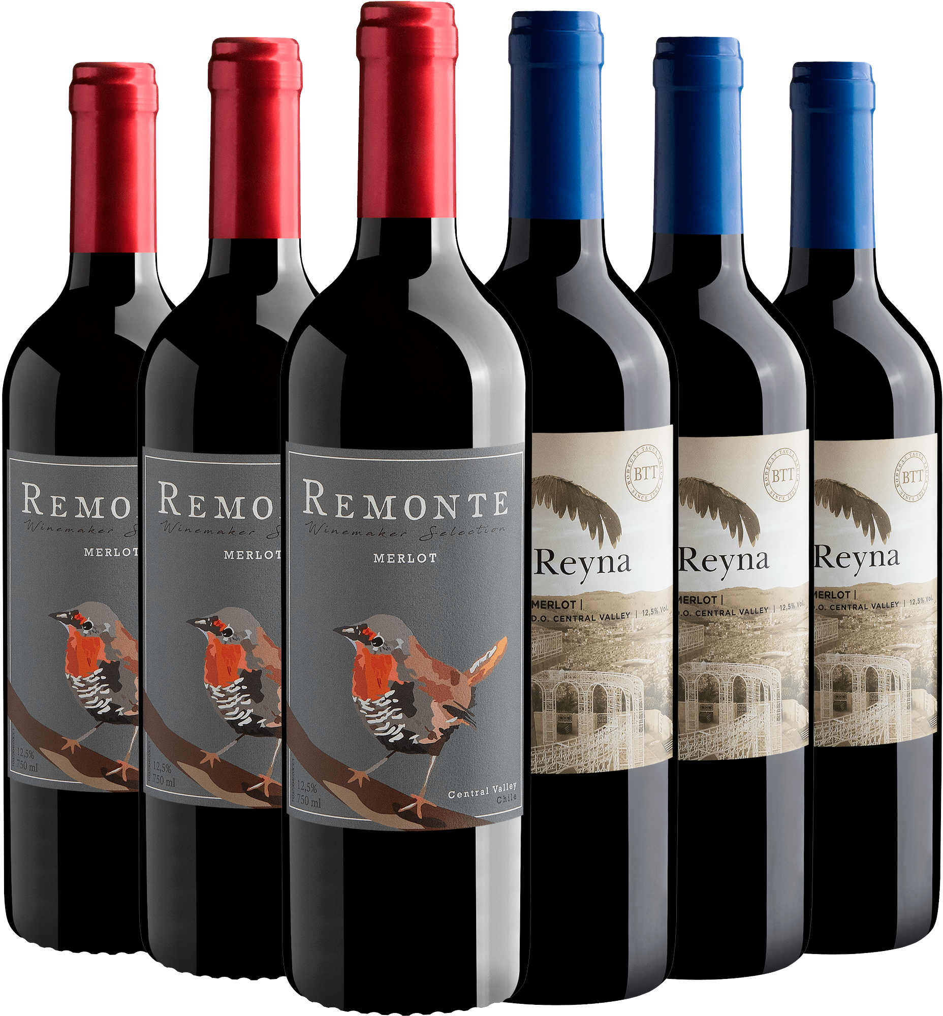Kit Merlot | 3 Remonte Winemaker Selection + 3 Reyna