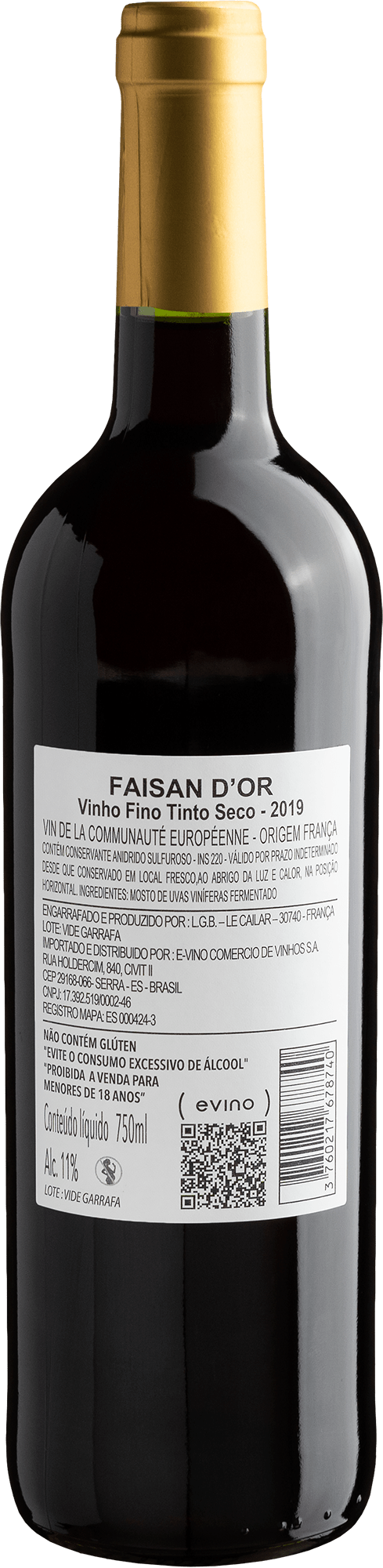 Faisan d'Or Rouge 2019 2