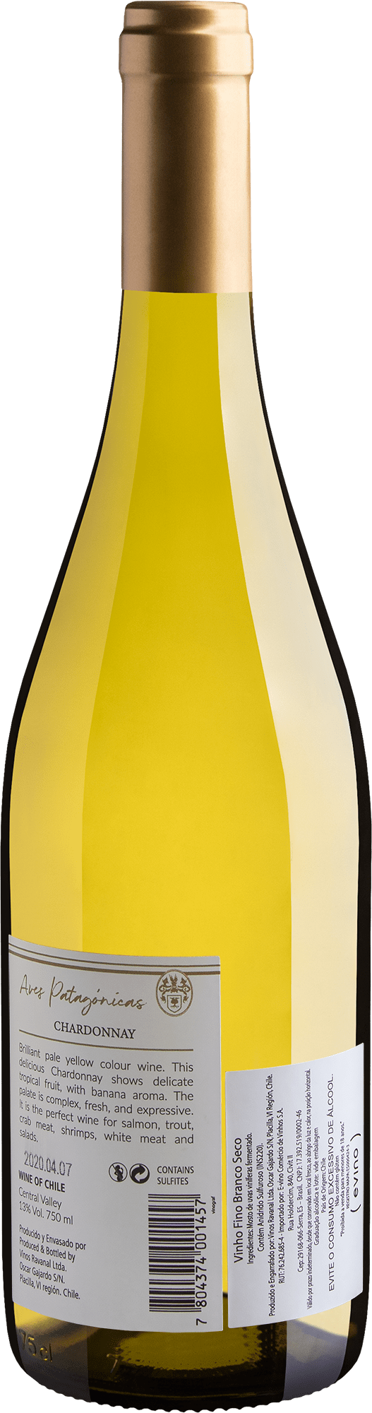 Aves Patagónicas Chardonnay Central Valley 2018 2