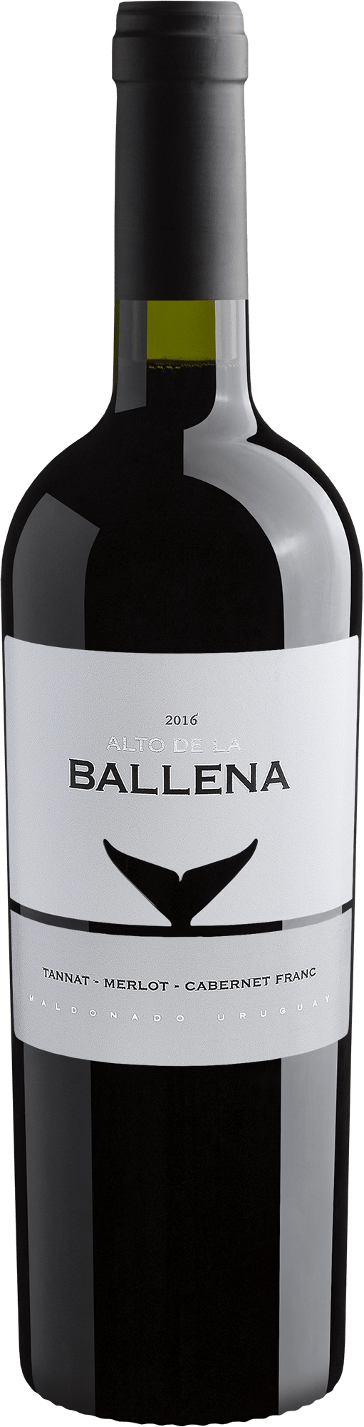 Alto De La Ballena Tannat-Merlot-Cabernet Franc 2016