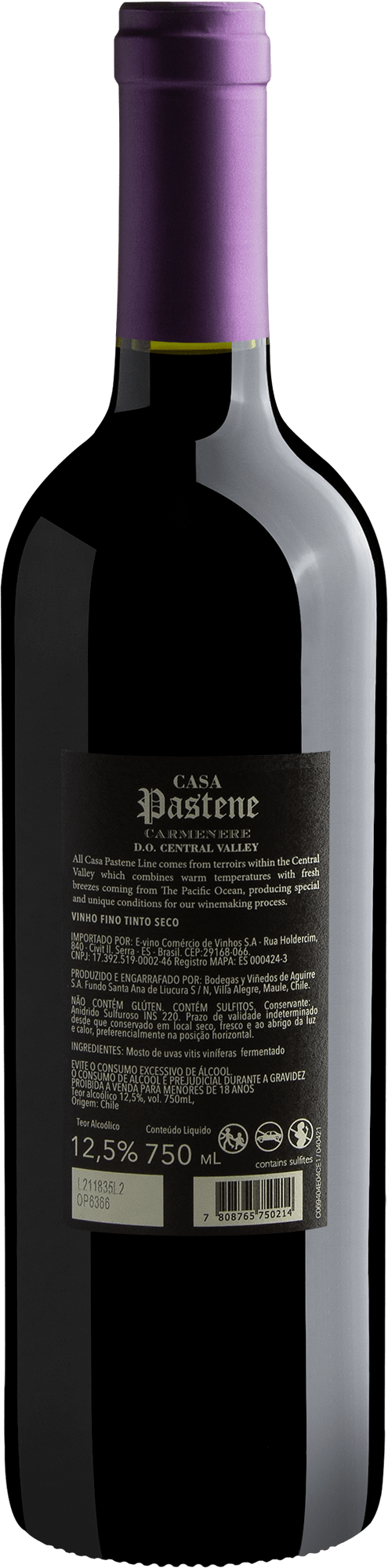 Casa Pastene Carmenere Central Valley D.O. 2021 2