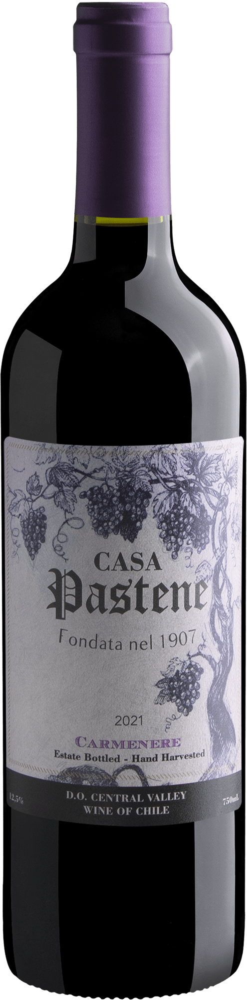 Casa Pastene Carmenere Central Valley D.O. 2021