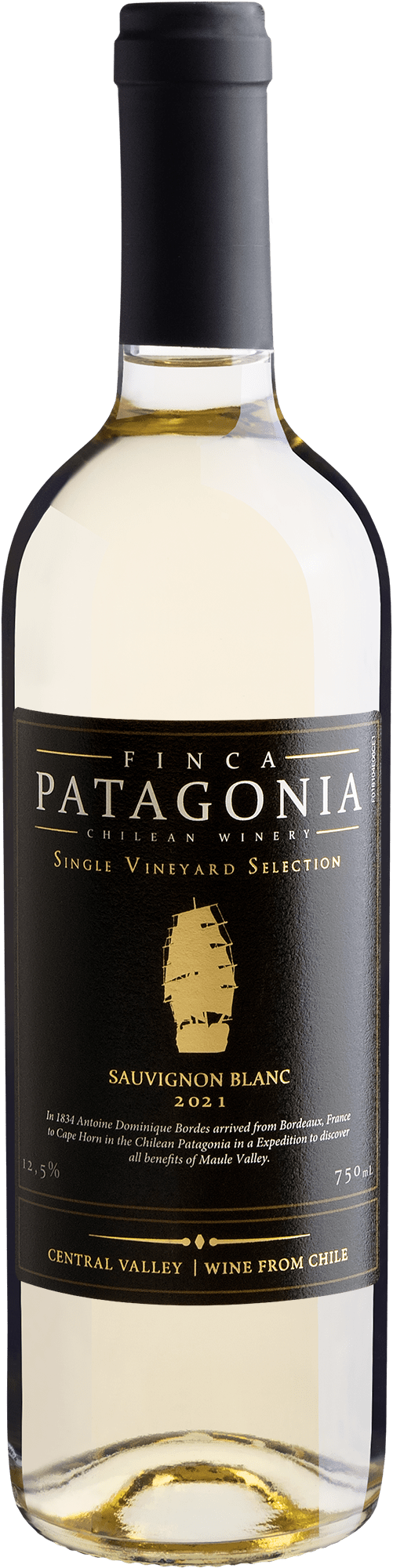 Finca Patagonia Single Vineyard Selection Sauvignon Blanc Central Valley D.O. 2021