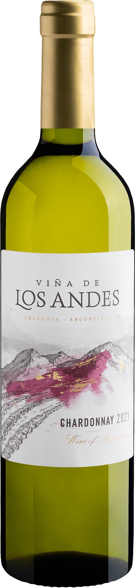 Viña de Los Andes Chardonnay 2021