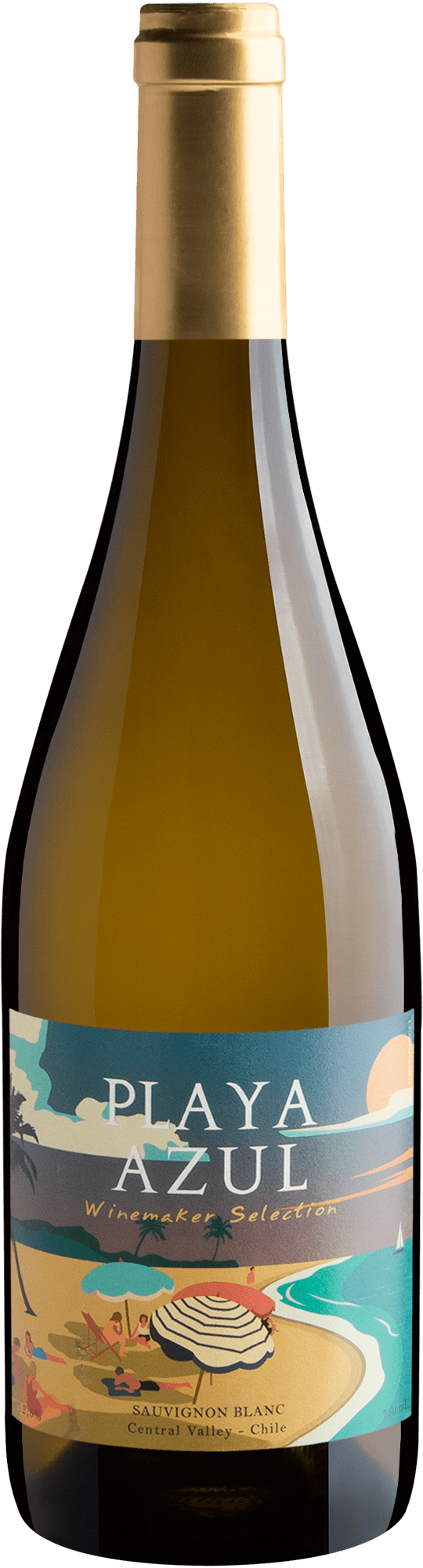 Playa Azul Winemaker Selection Sauvignon Blanc Central Valley D.O. 2022